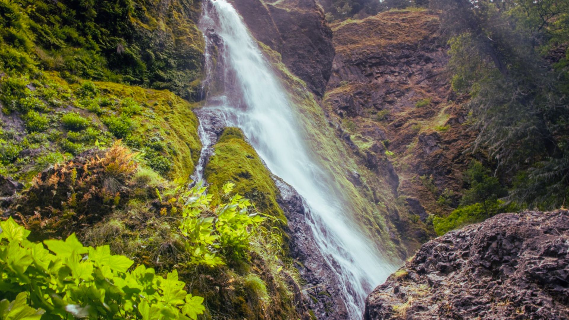 11. Cabin Creek Falls
