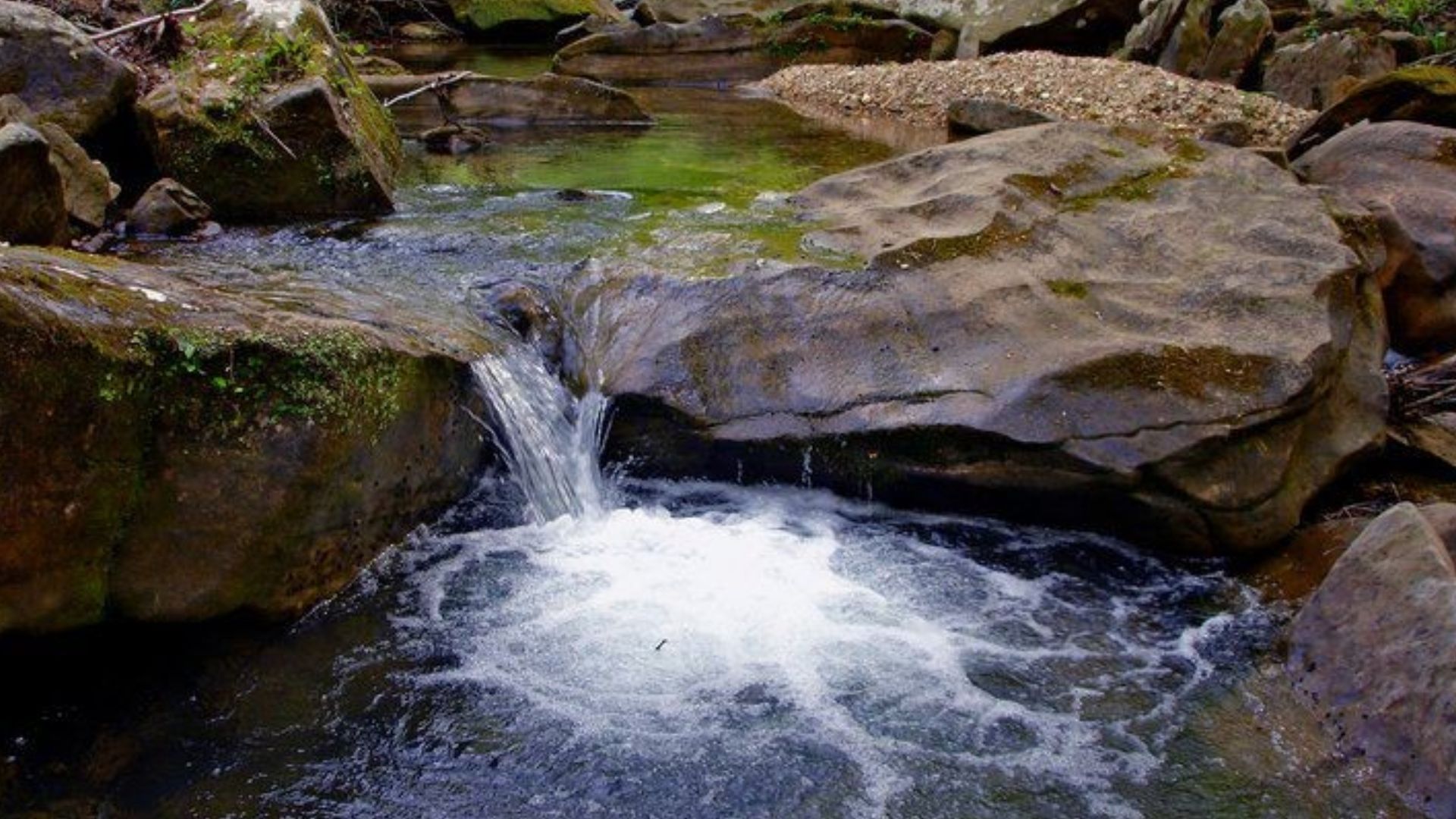 ane Creek Nature Preserve Waterfalls ( Tuscumbia