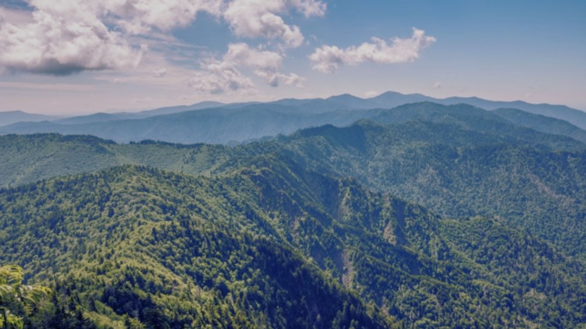 Great Smoky Mountains National