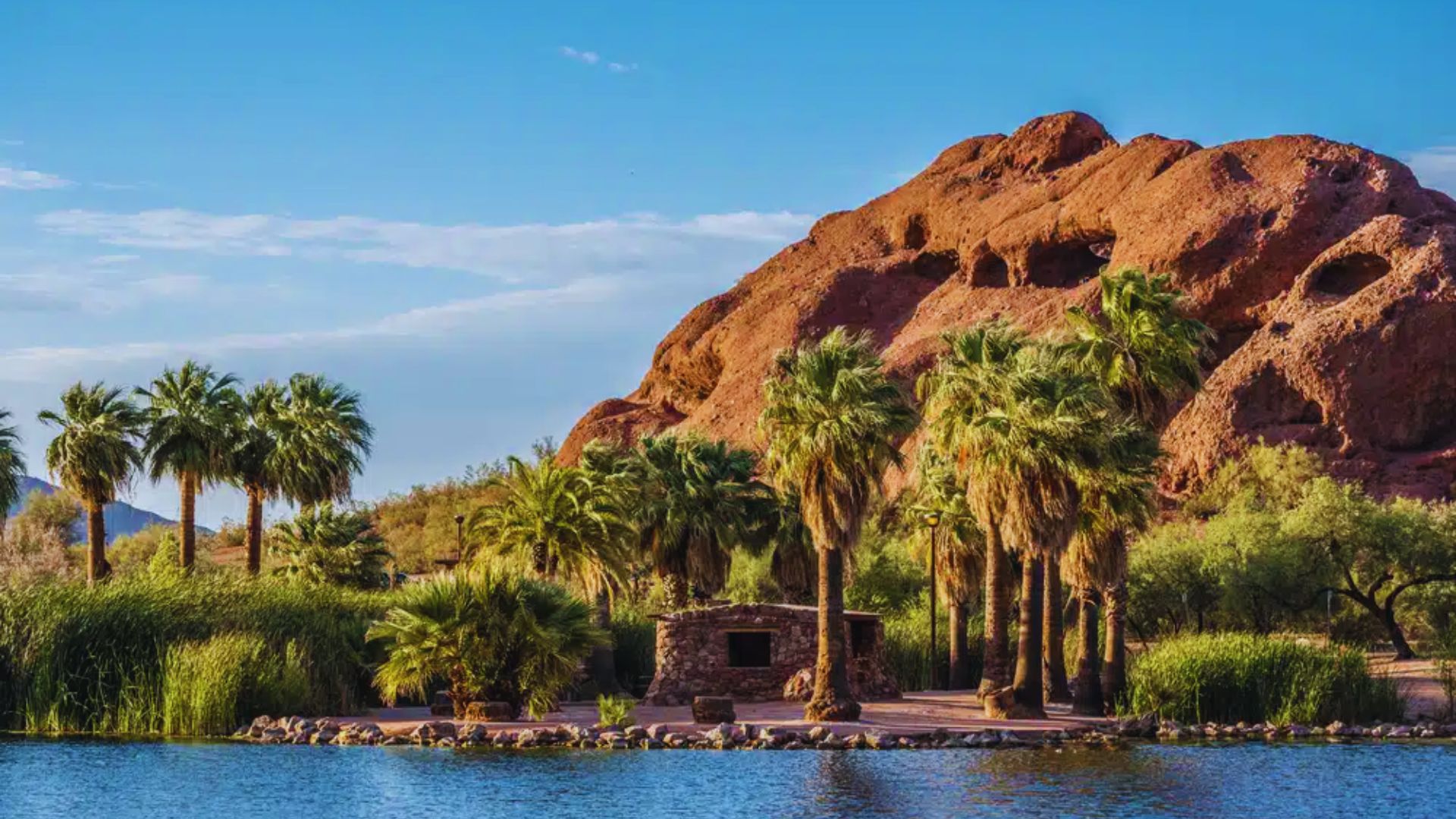 Red rock desert in Arizona featuring palm trees and a serene body of water under a clear blue sky.