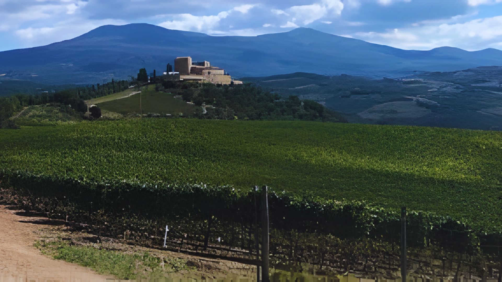 Slower Wine Travel in Chianti and Val d'Orcia