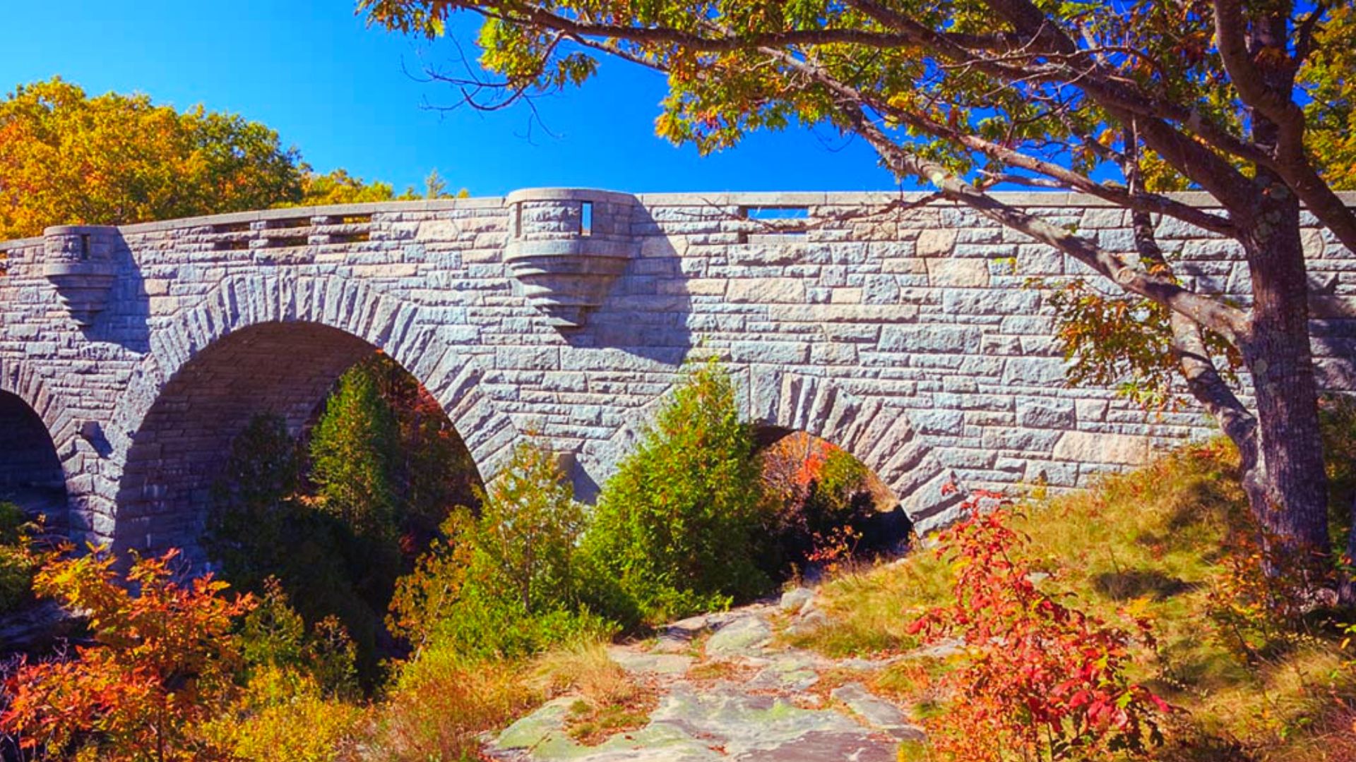 Rockefeller's Revolutionary