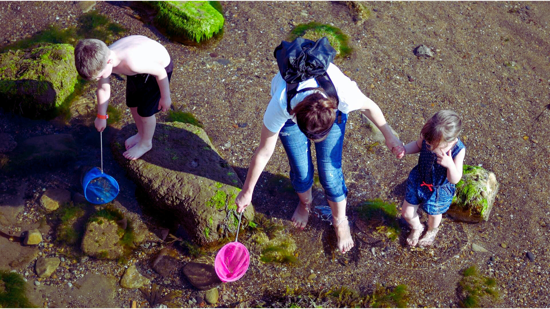 5. Go Crabbing or Shell Hunting With Kids