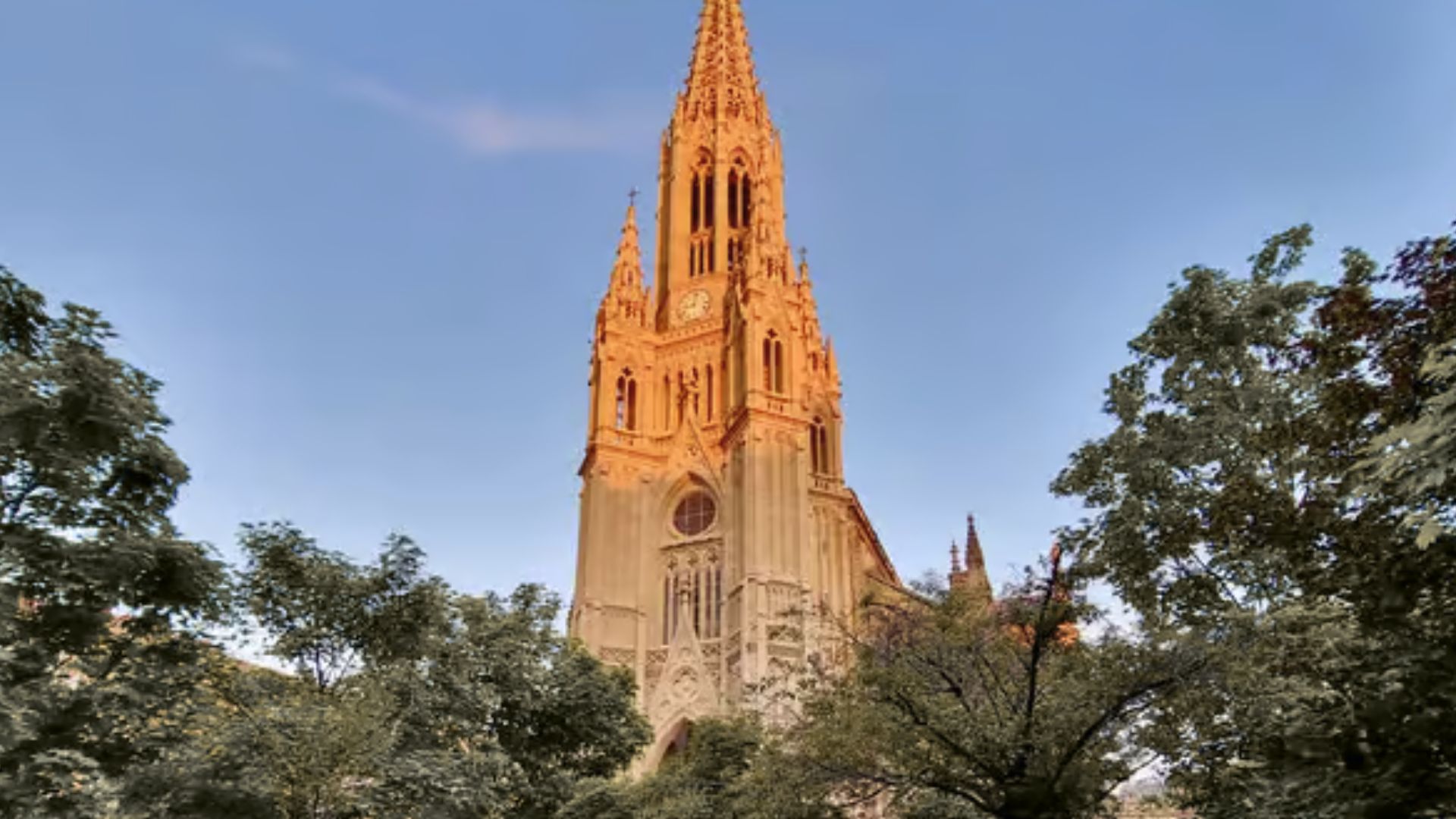 Visit the Buen Pastor Cathedral in the City Center