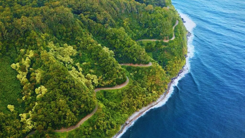 Aerial view of a winding coastal road in Hawaii, surrounded by lush greenery and the blue ocean.