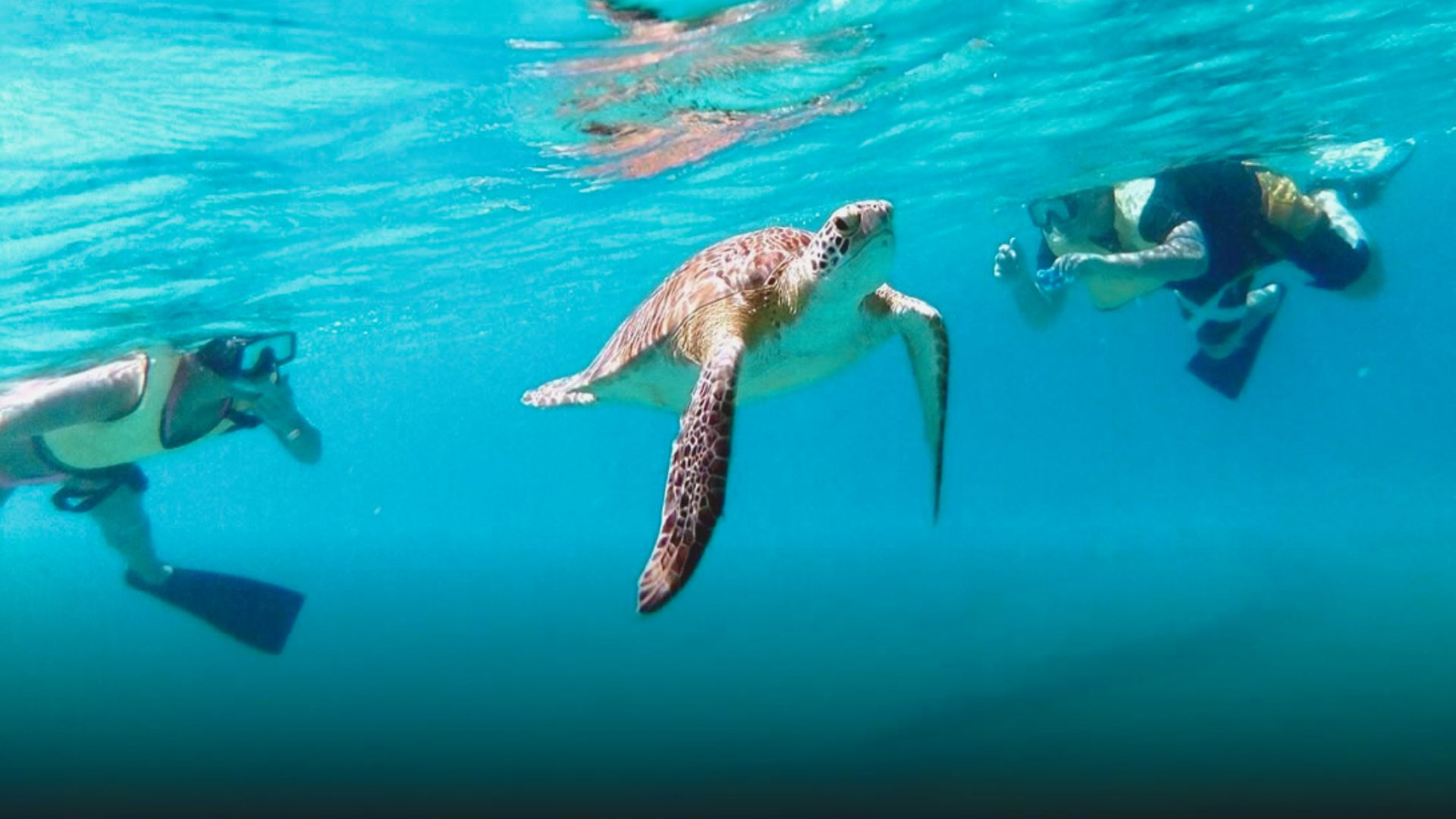 Experience a Snorkeling Catamaran Tour