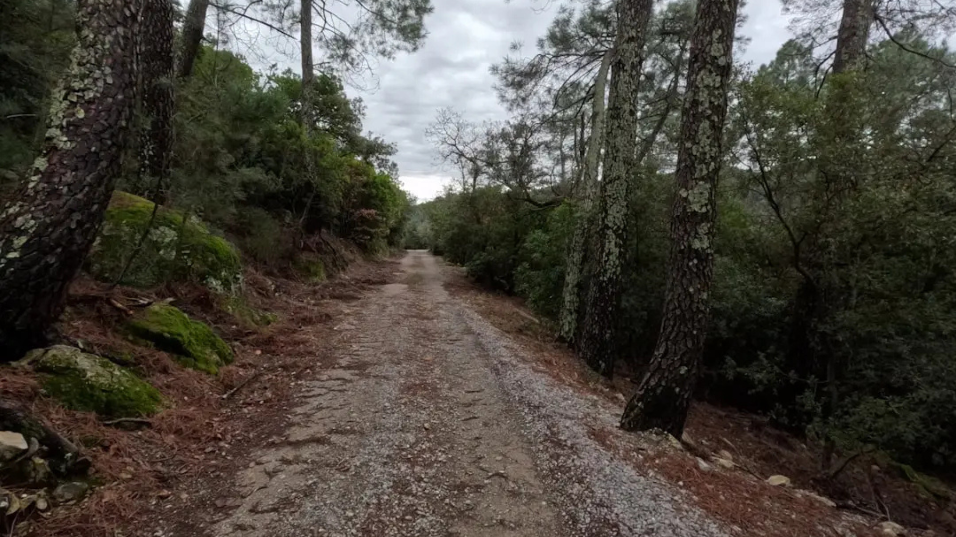 6. Paseo del Rio Trail – Best Easy Walk Along the River