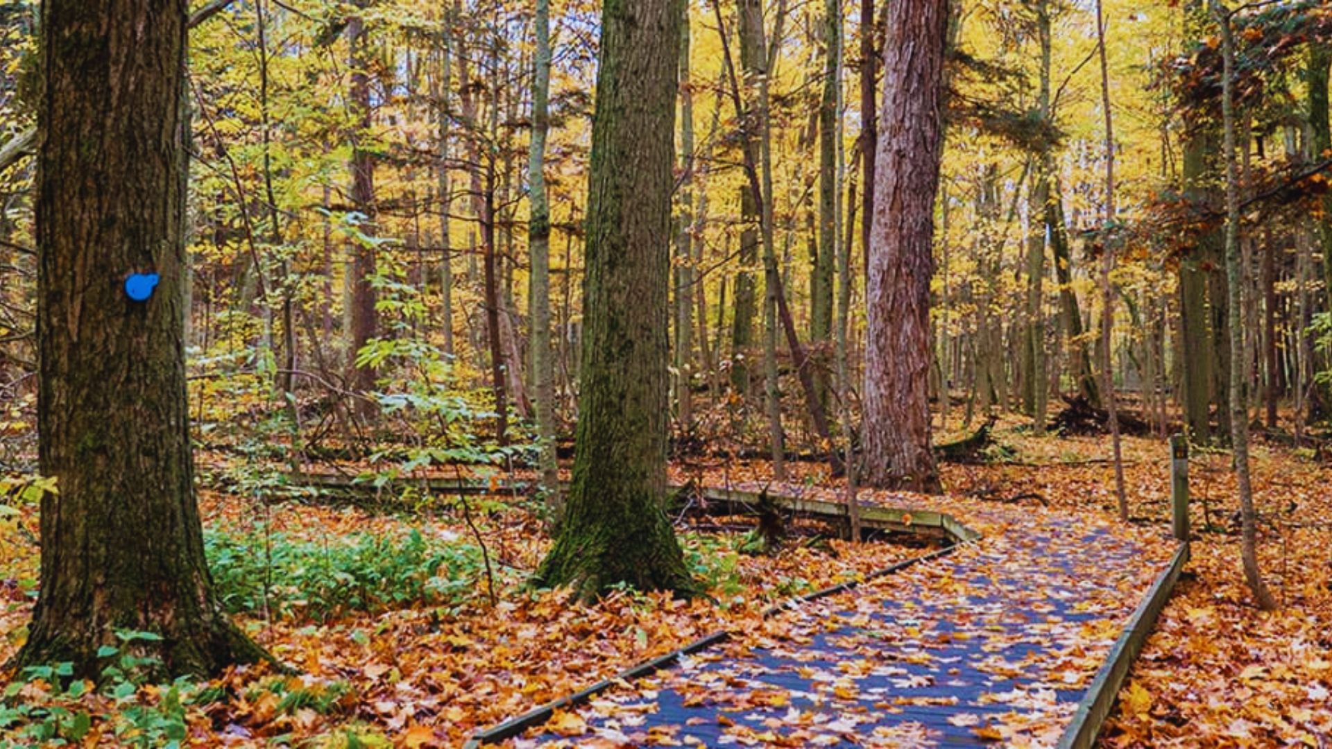 9. Presqu'ile Provincial Park: Nature & Birding