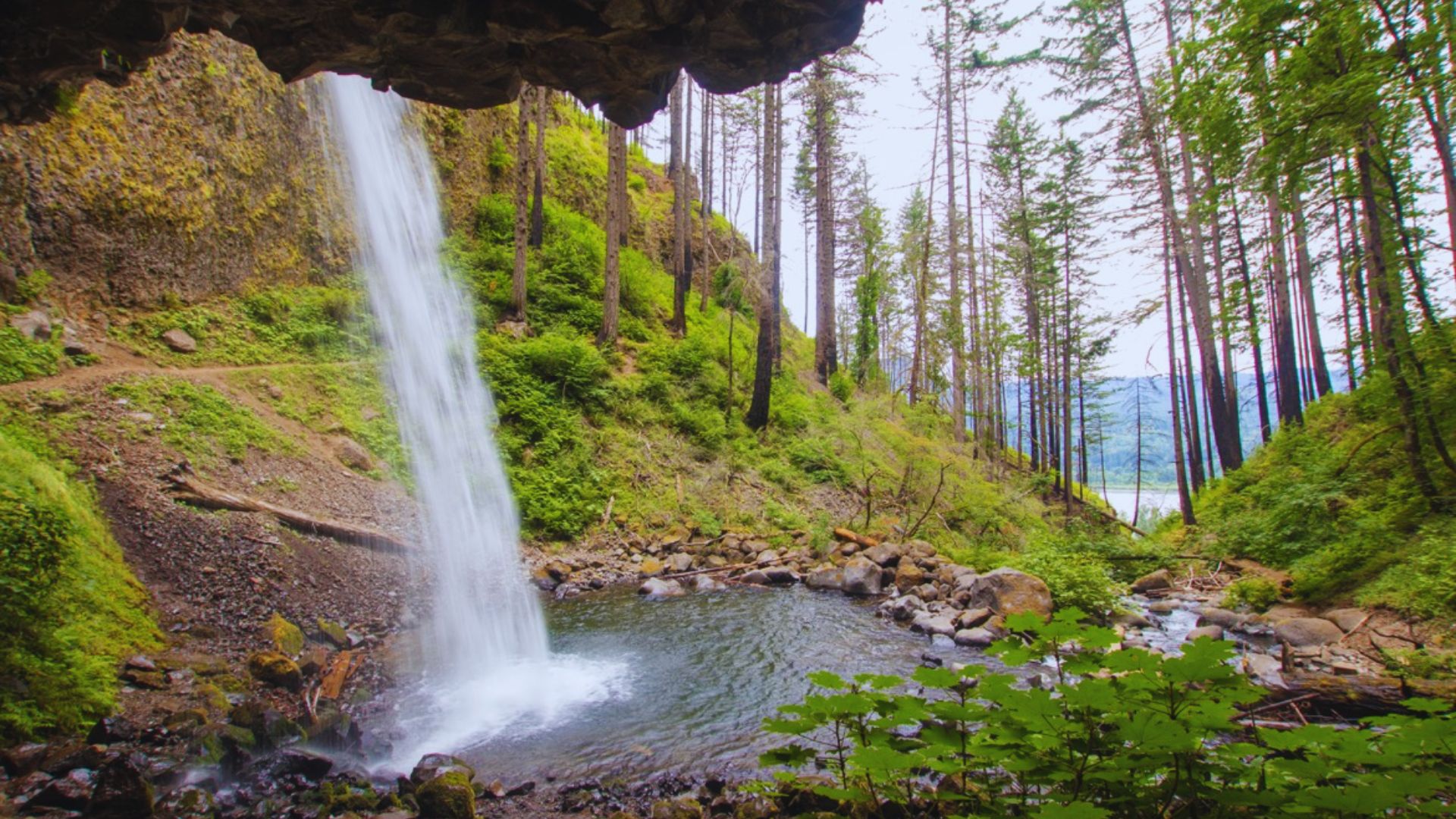 7. Ponytail Falls
