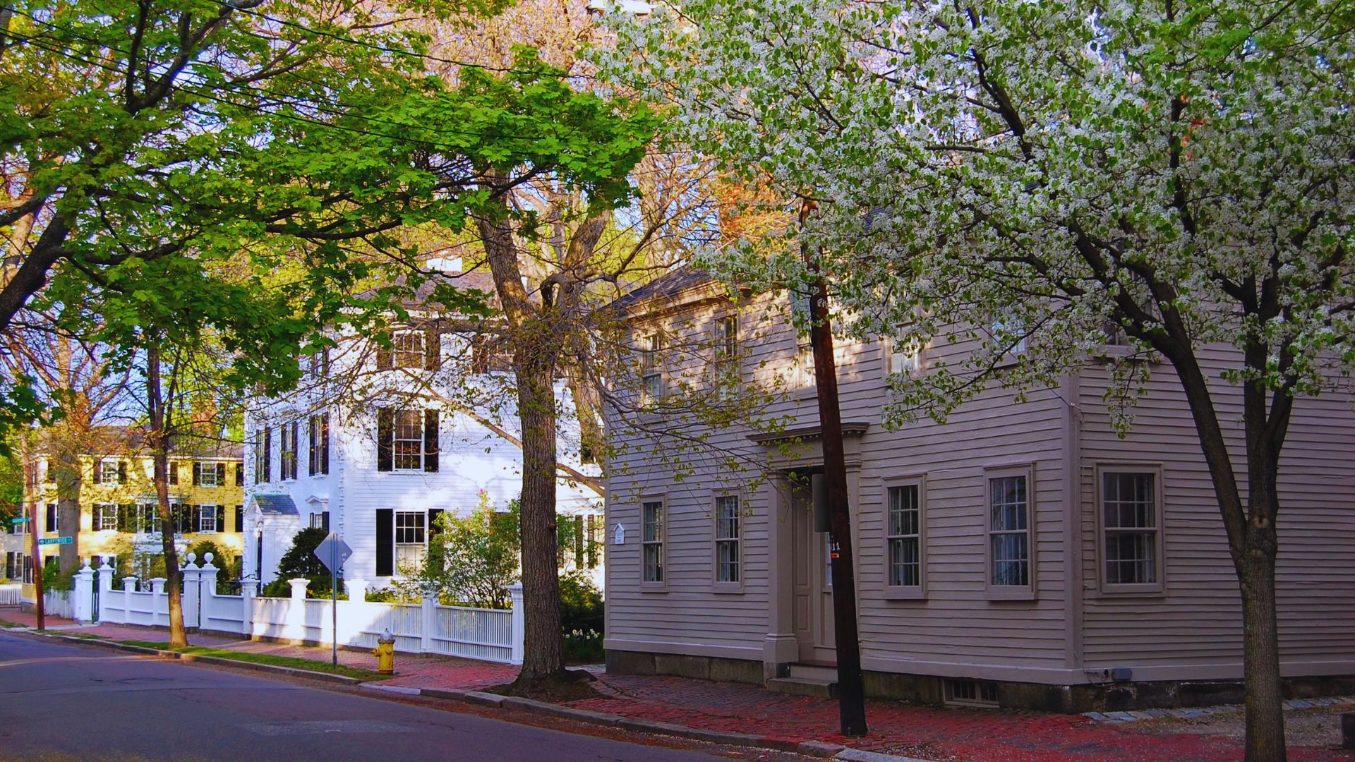 1. A tree-lined street featuring a house set among the greenery.