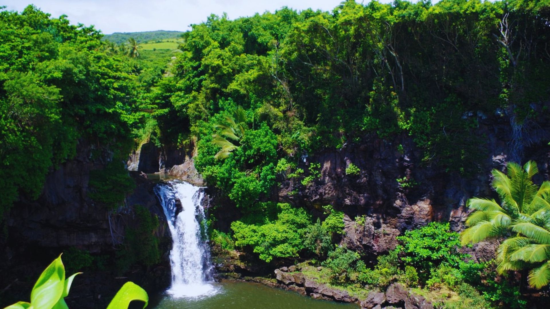 A stunning waterfall cascading down lush green cliffs in Kauai, surrounded by tropical vegetation and mist.