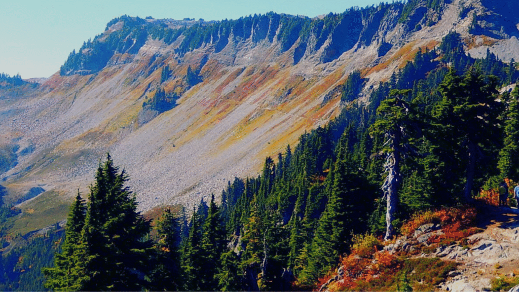 Mount Baker Hikes: 15 Incredible Trails for Every Level
