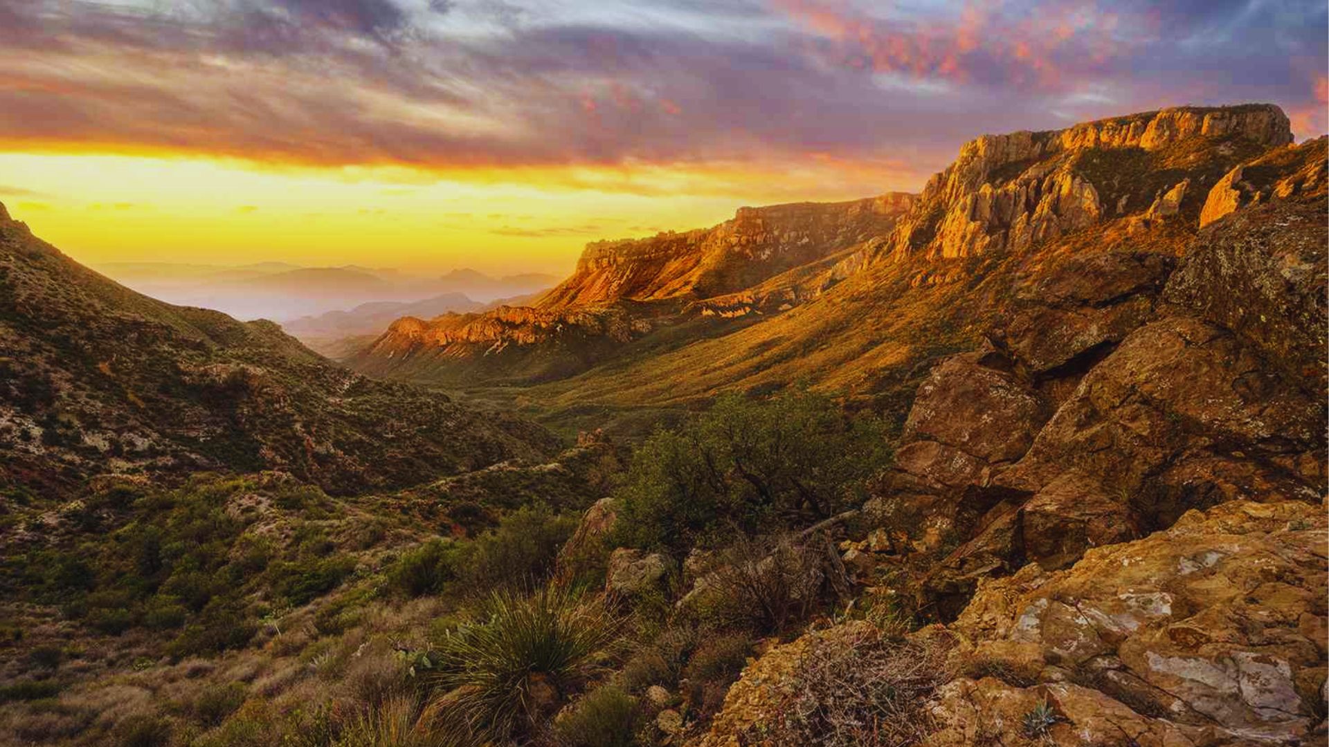 Visit Lost Mine Trail