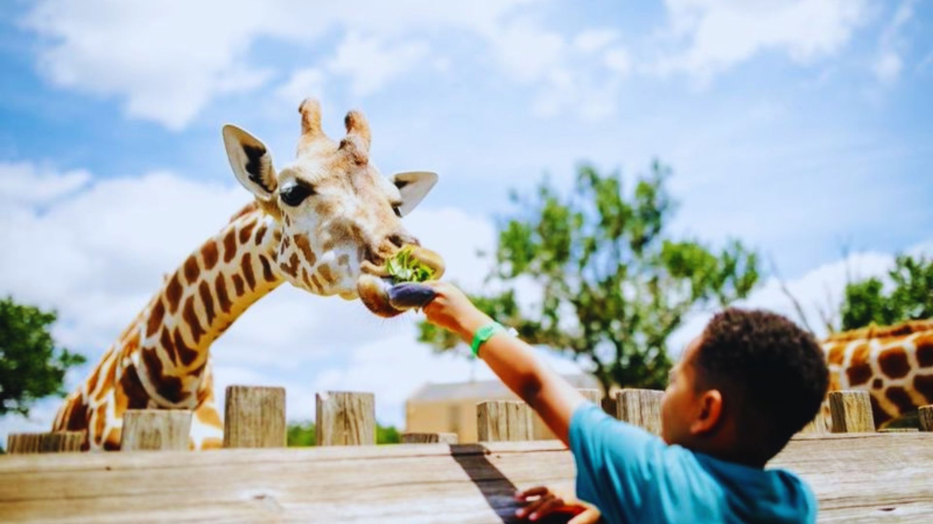 Oklahoma City Zoo