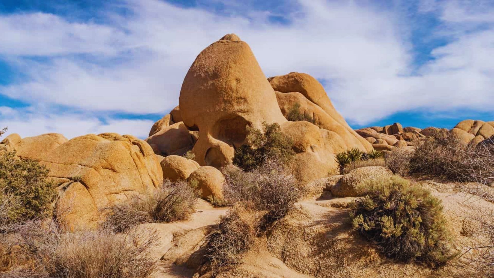 Vast desert landscape featuring towering rock formations under a clear blue sky.