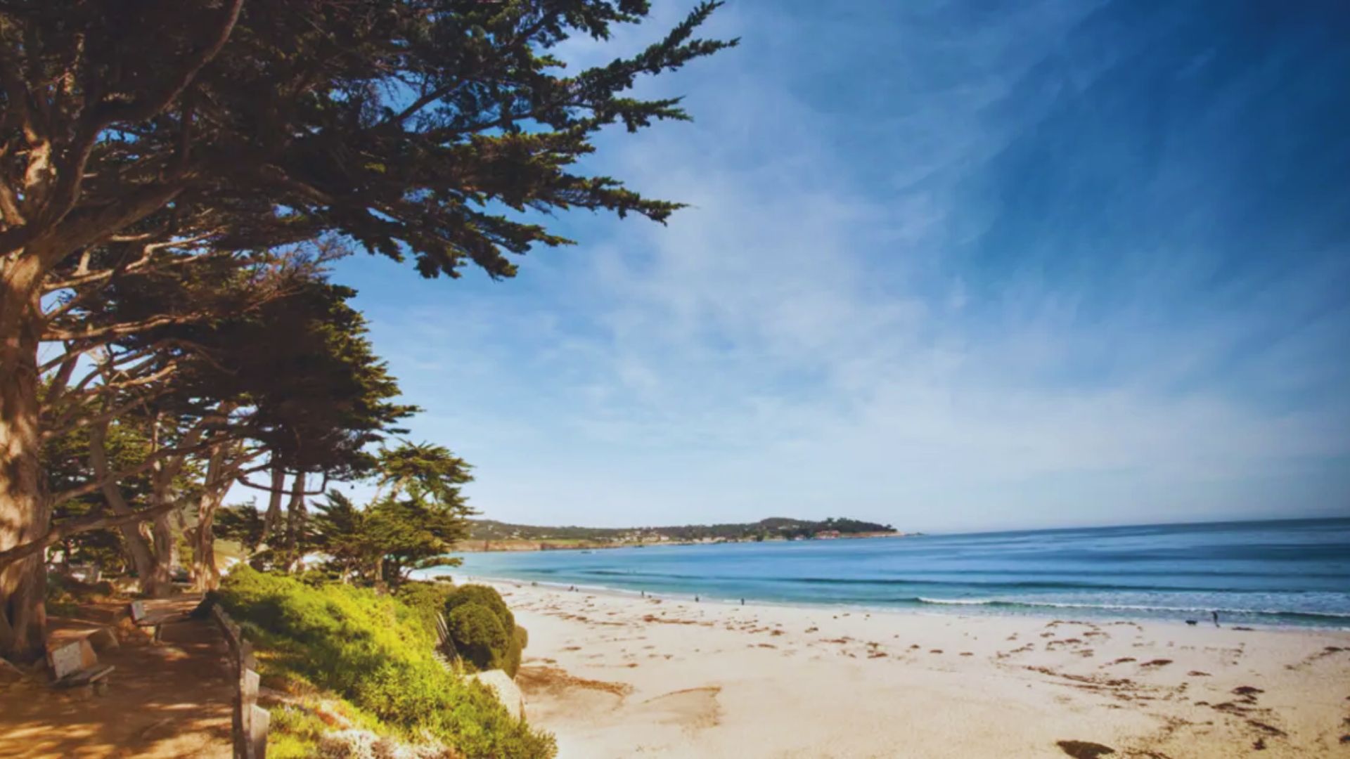 A serene beach scene featuring sandy shores and lush trees lining the coastline.