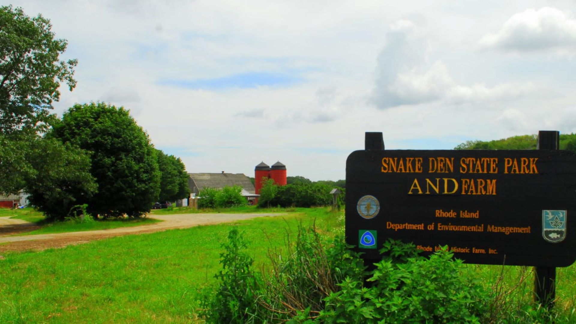 A snake resting on the ground in Anderson State Park, North Carolina, surrounded by grass and trees.