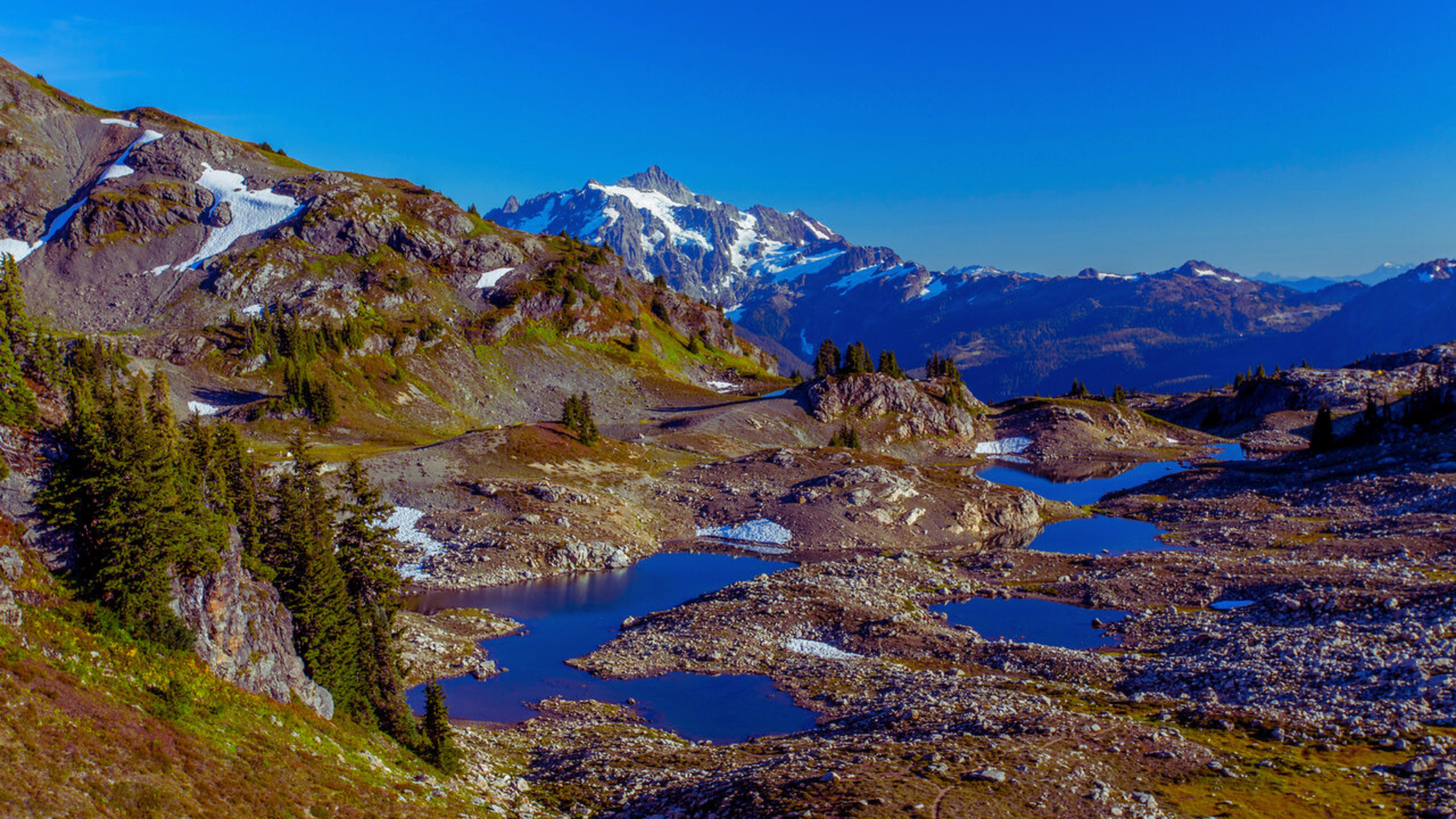 8. Yellow Aster Butte
