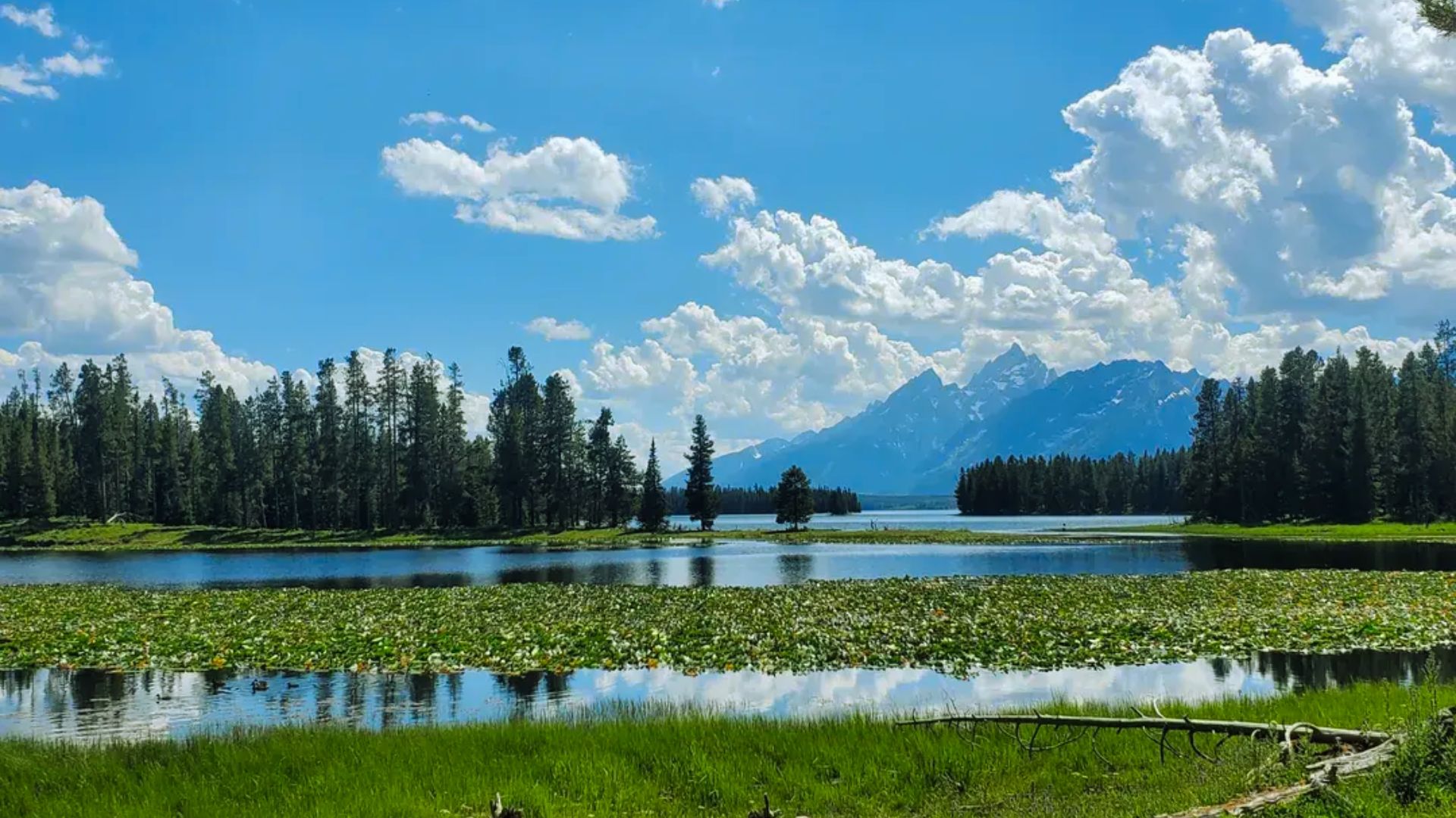 15. Hermitage Point Trail
