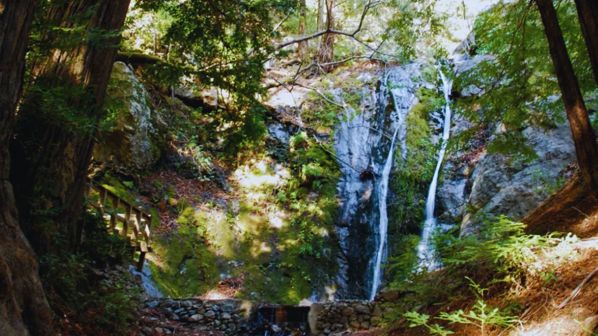 7. Pfeiffer Big Sur State Park