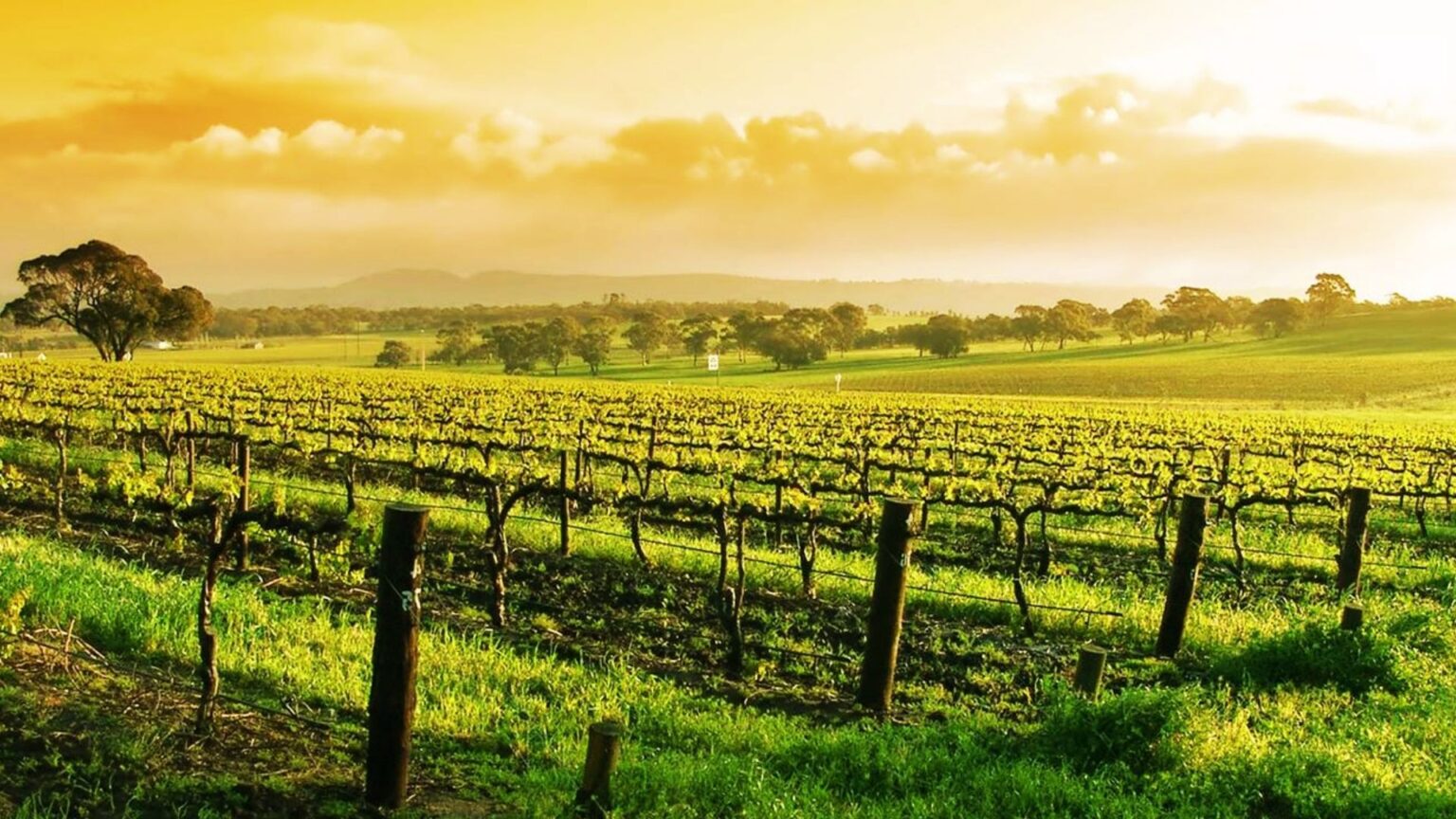 21 Best Things to Do in Avila Beach You Can’t Miss - OhThePlacesWeSee