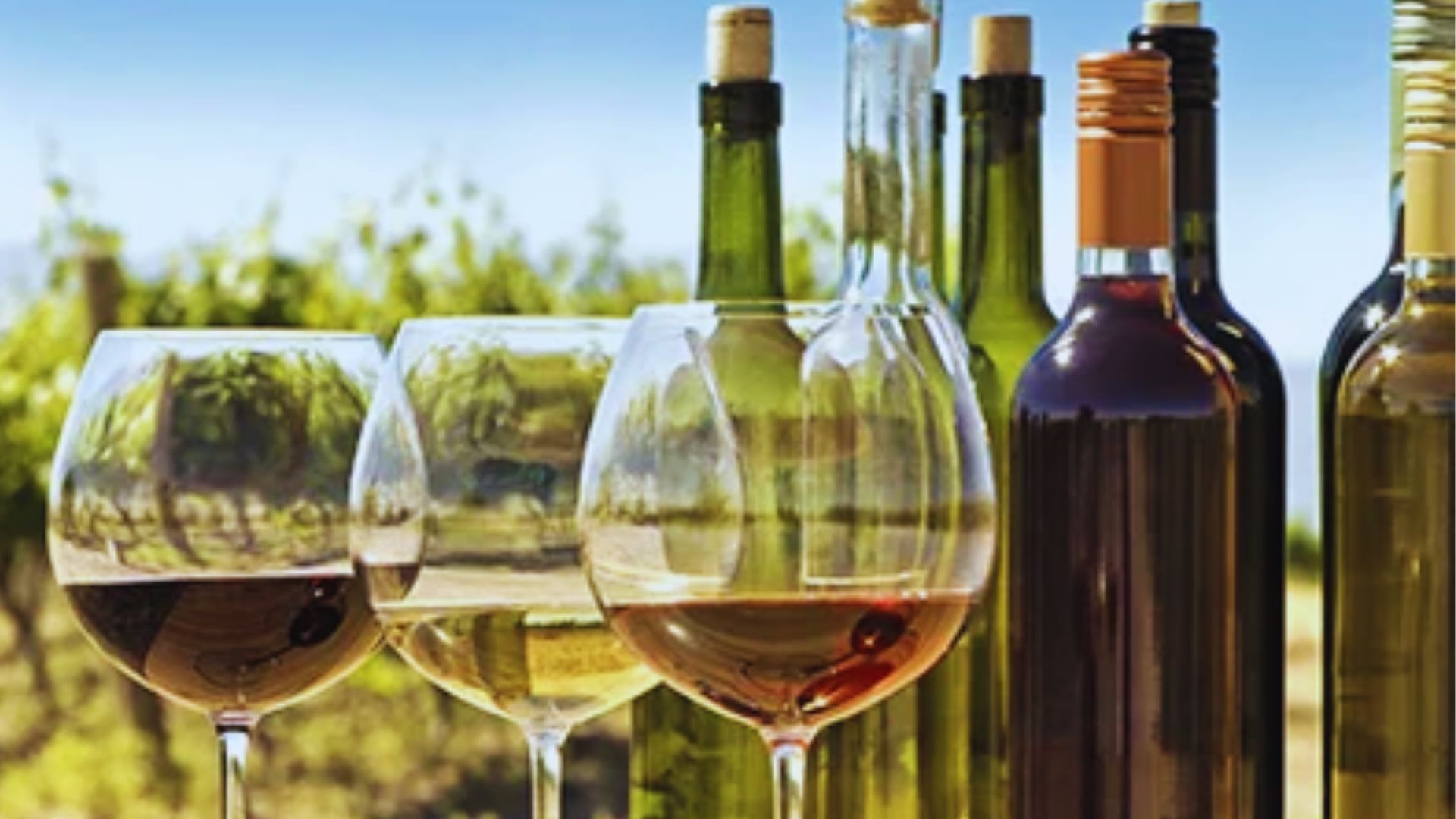 A group of people enjoying a wine tasting event in a picturesque UK vineyard, surrounded by lush greenery and wine barrels.