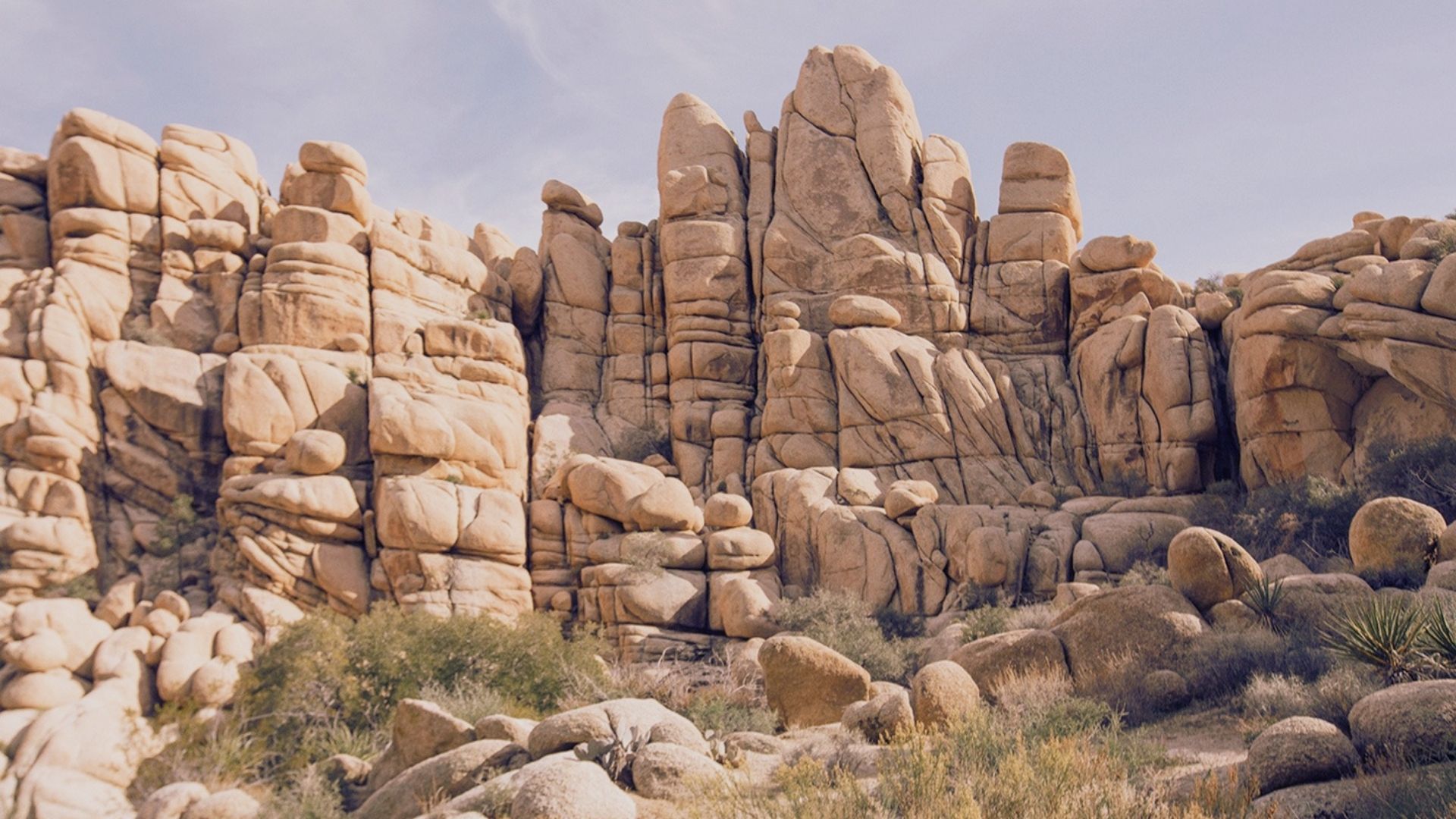 Landscape of Joshua Tree National Park, featuring distinctive Joshua trees and rugged rock formations against a bright sky.