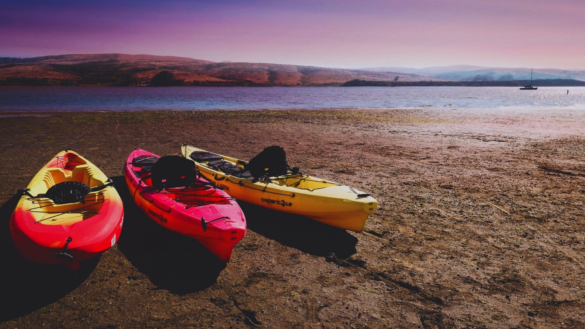 Three colorful kayaks are lined up on the sandy shore of a tranquil lake, surrounded by lush greenery.