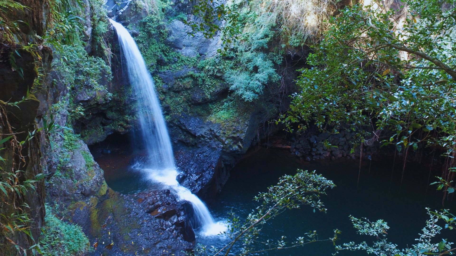 A serene waterfall cascades down, surrounded by vibrant green trees in a lush natural setting.