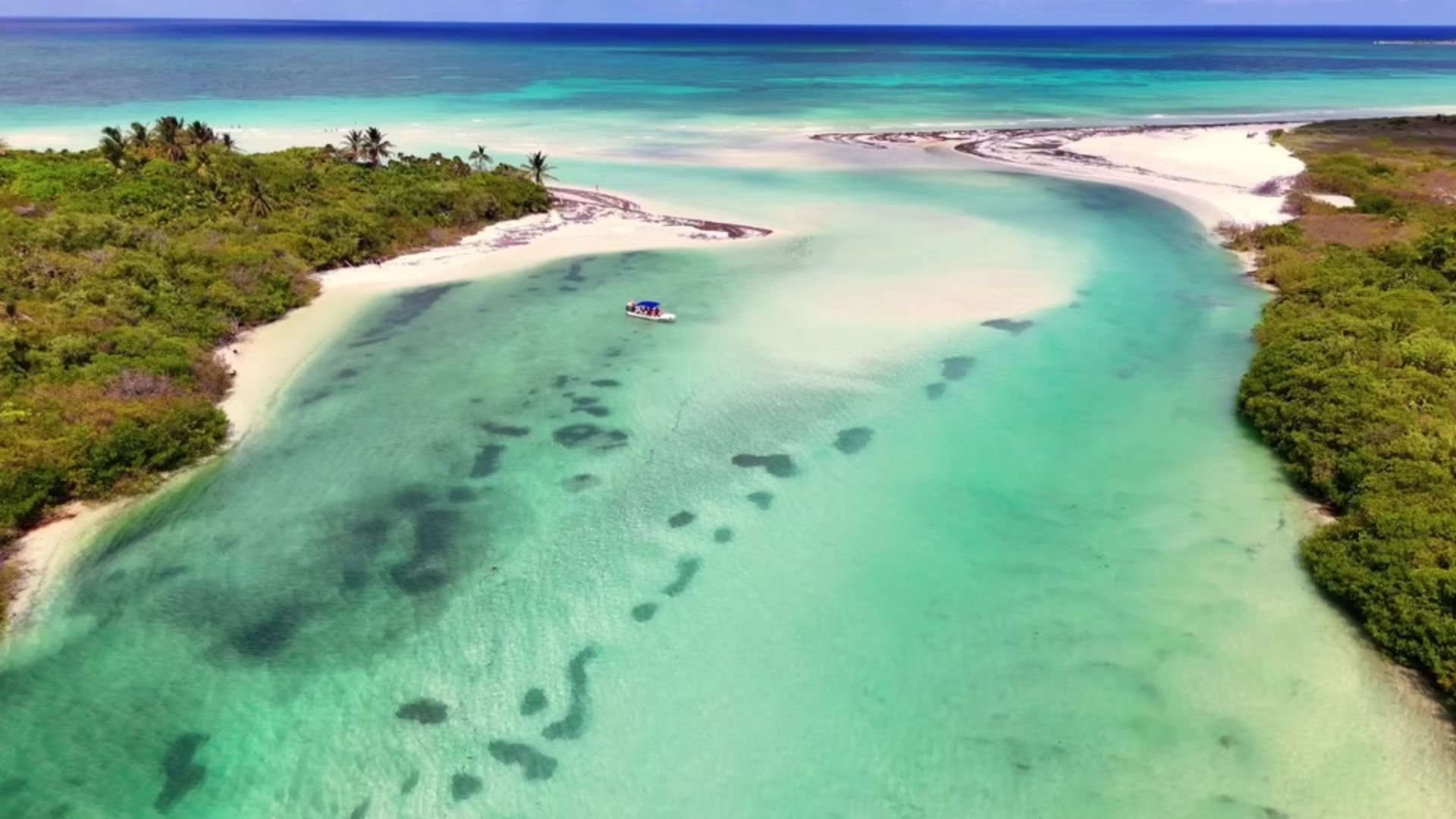 Aerial view of a sandy beach meeting the blue ocean, showcasing waves and shoreline under a clear sky.