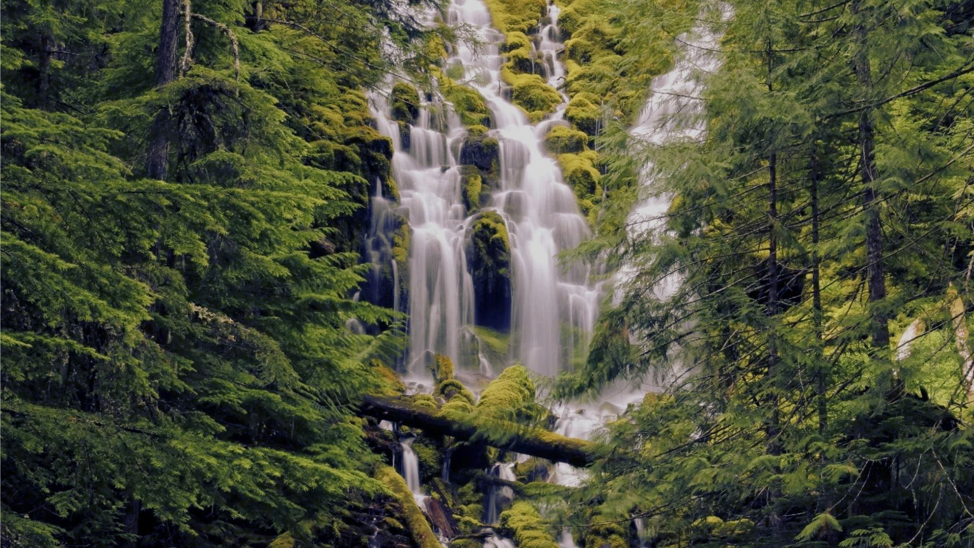 Proxy Falls