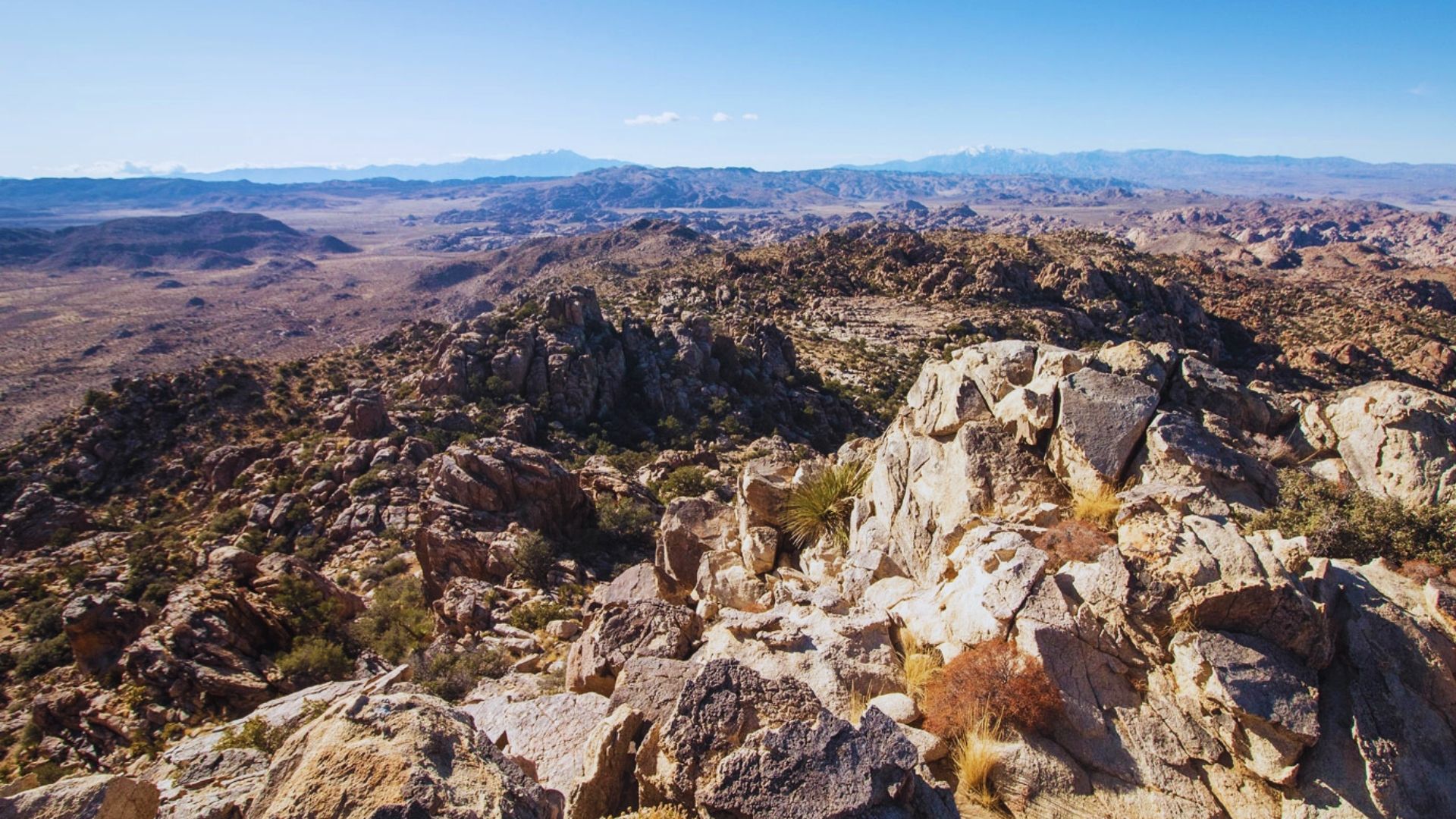 A panoramic view from a mountain peak, showcasing the vast, arid desert landscape under a clear blue sky.