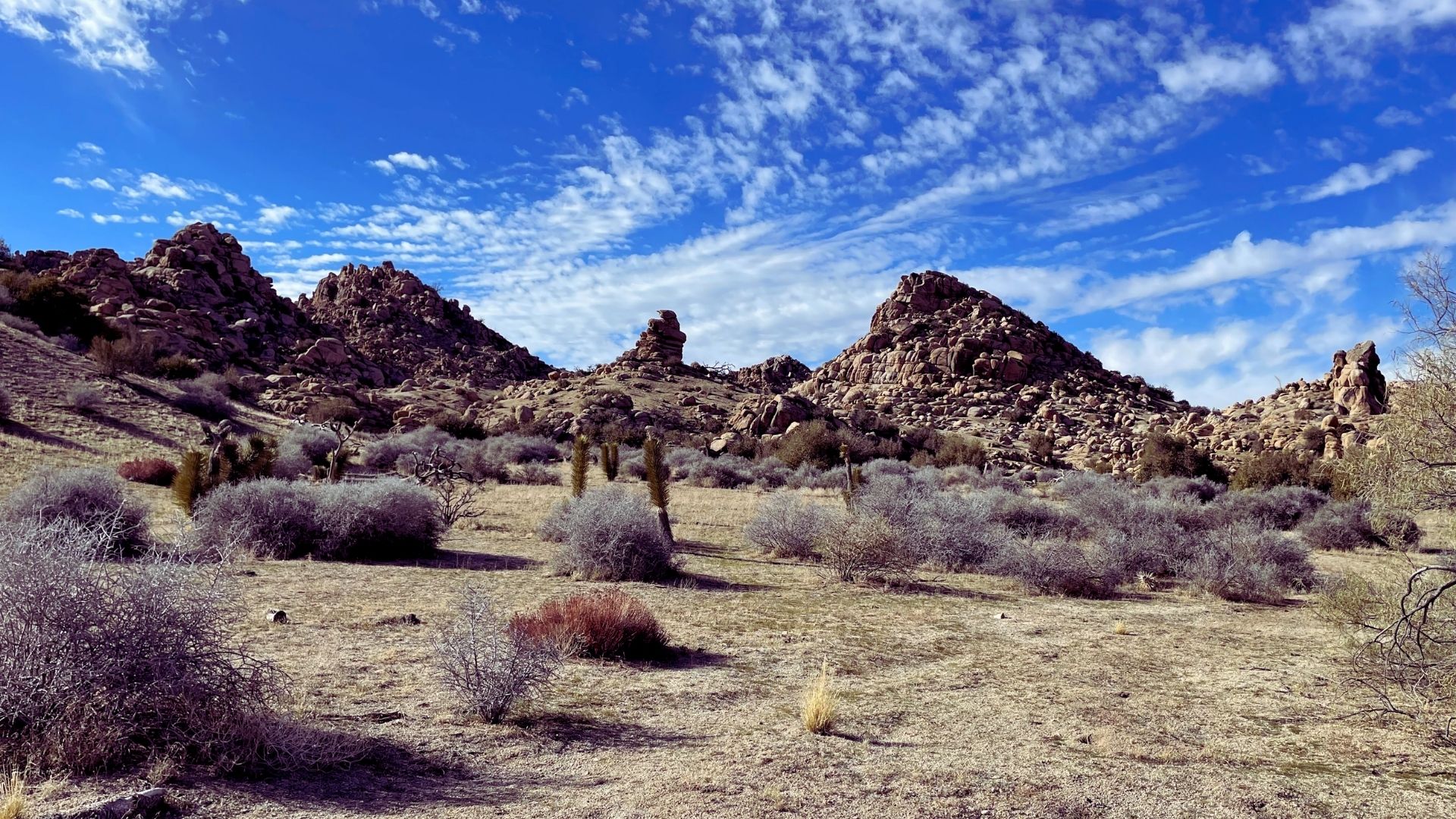 A dry desert scene showcasing rugged rocks and tall cactus plants against a bright, cloudless sky.