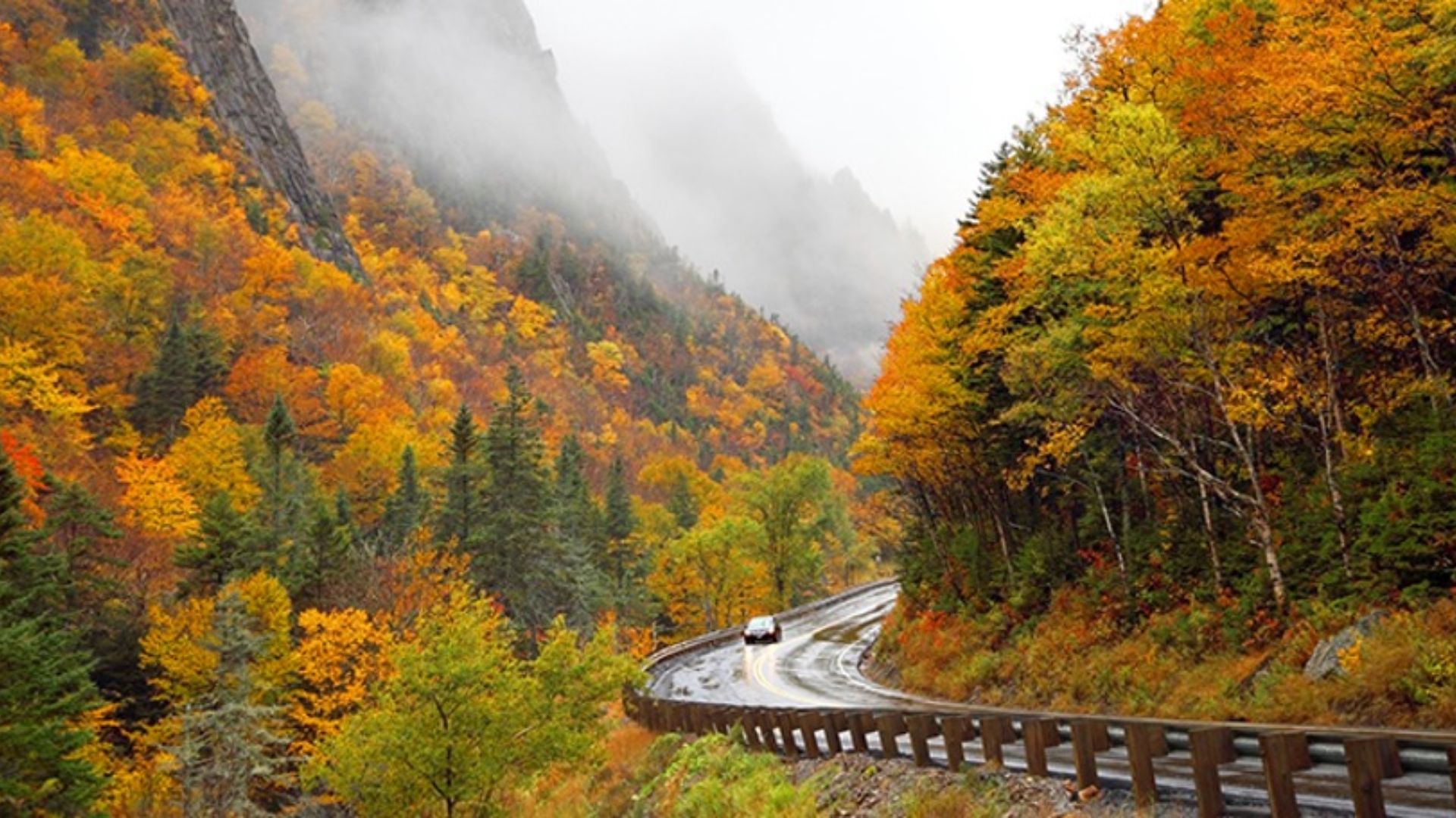 A winding autumn road through foggy mountains, surrounded by vibrant, colorful trees in shades of orange and yellow.