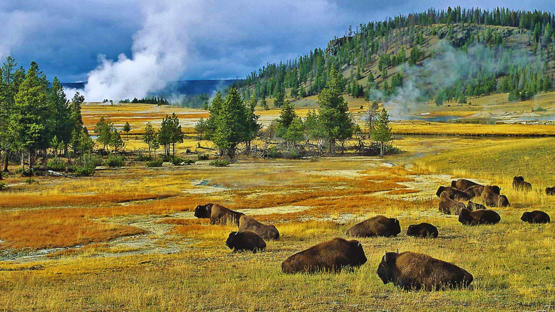 7. Yellowstone National Park