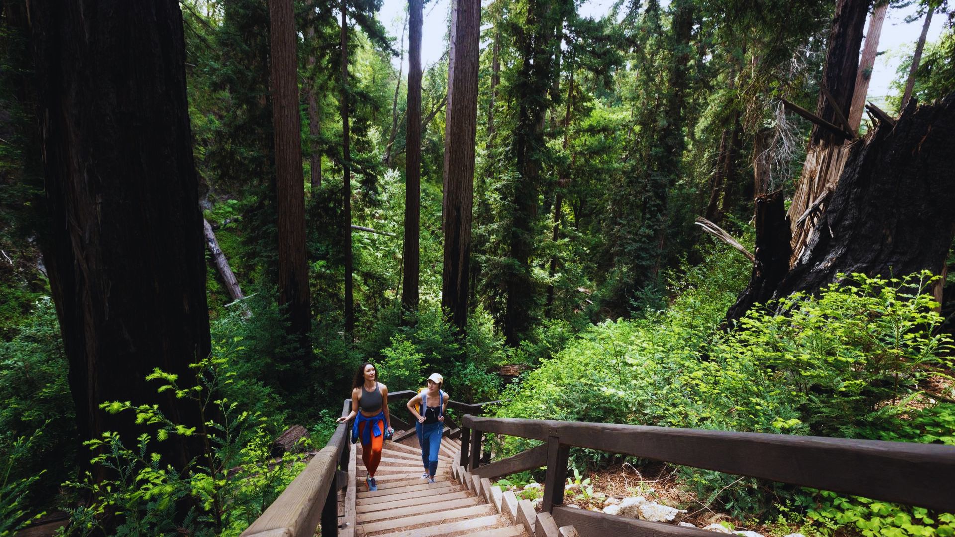 15. Additional Hiking Trails in Big Sur