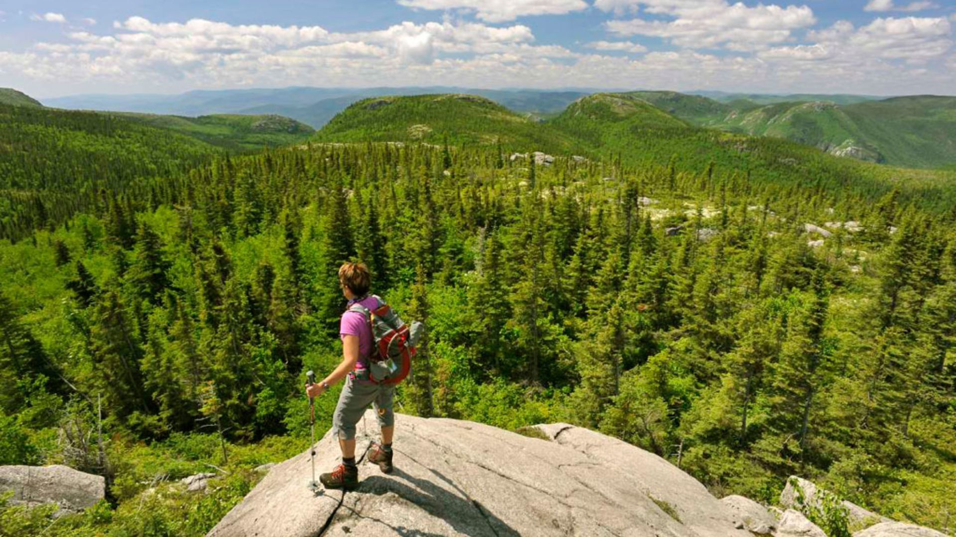 A woman with a backpack stands on a rock, gazing over a lush green forest landscape.