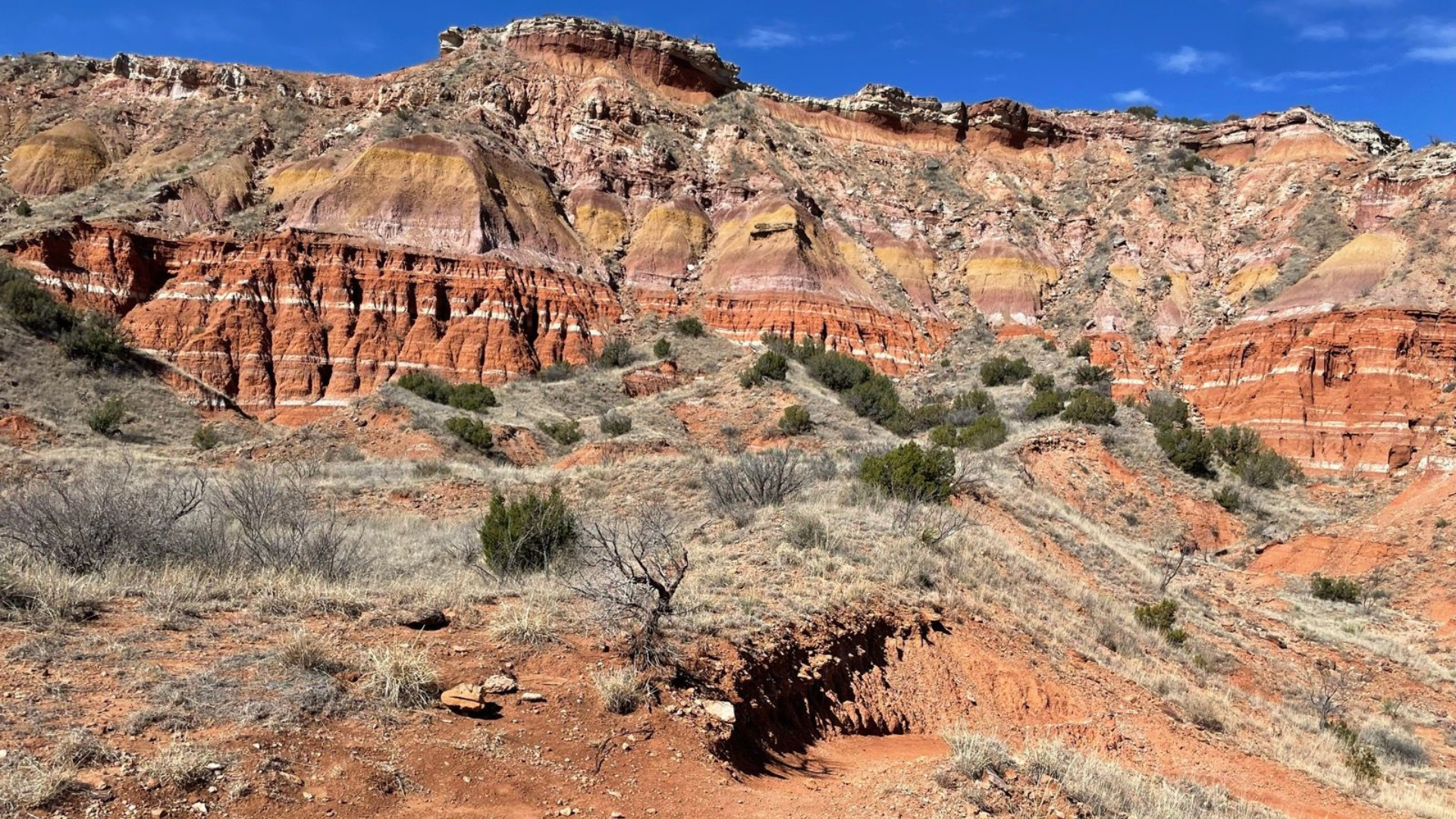 14. Chinaberry Trail – Best Trail Near Campgrounds