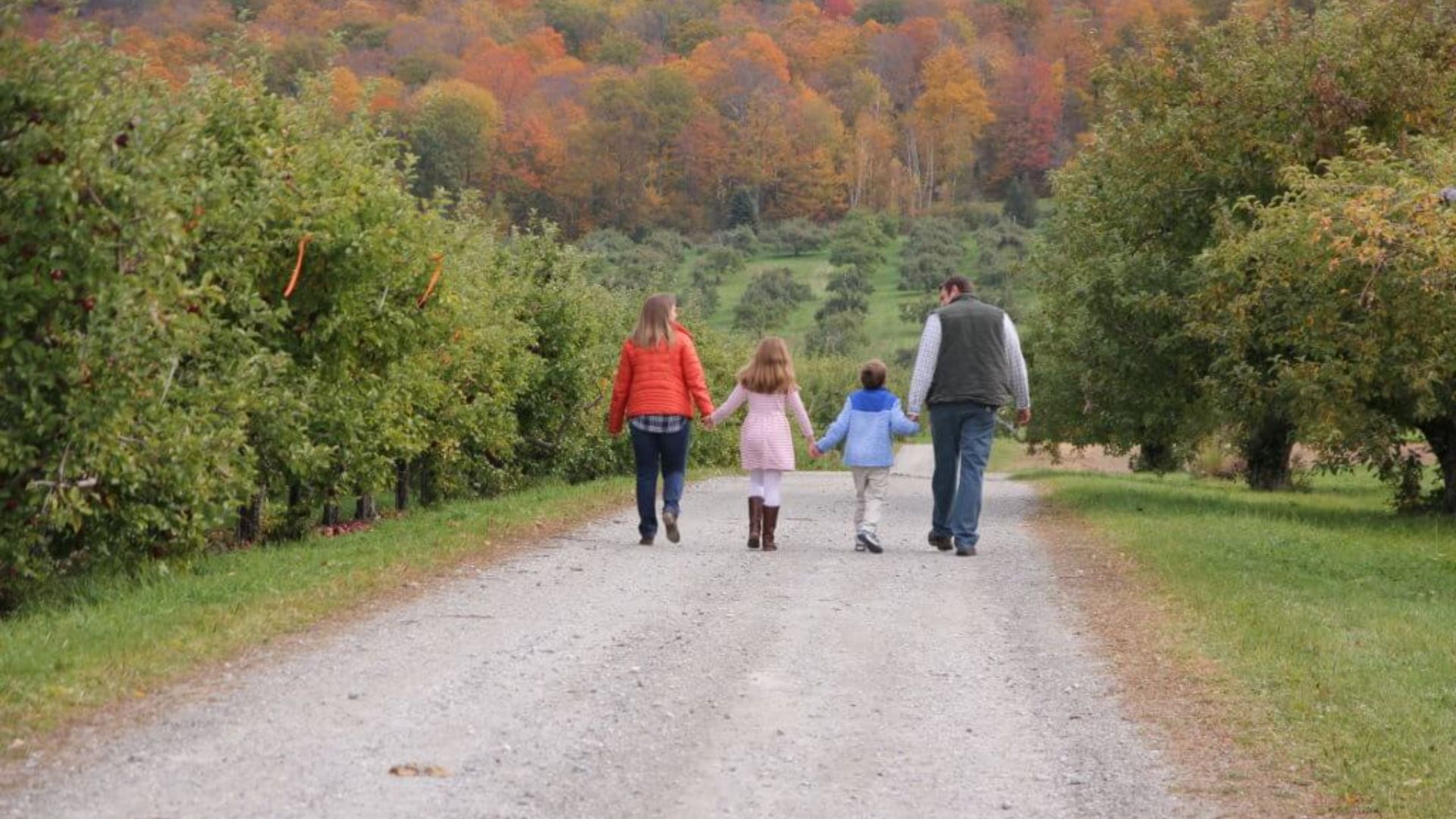A family strolls along a dirt road surrounded by apple trees in a vibrant orchard.