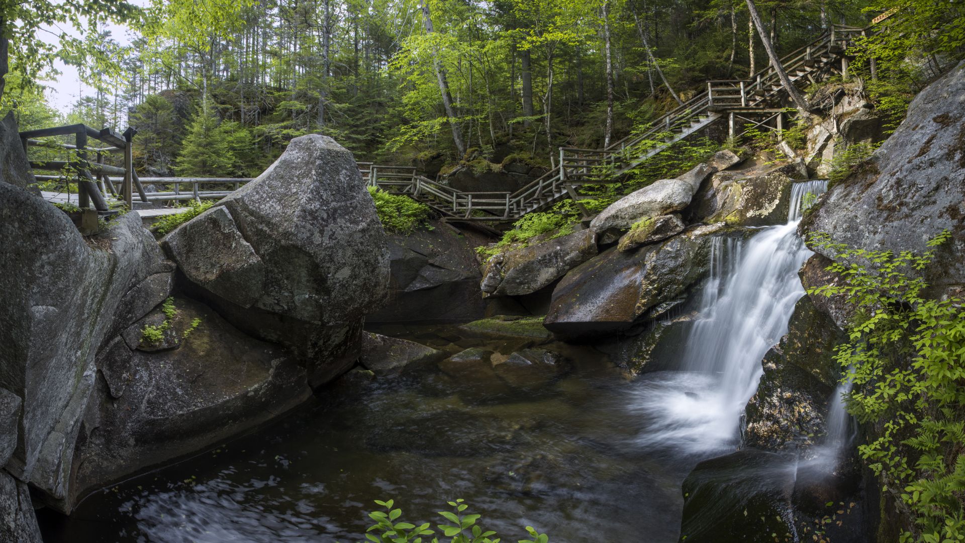 A serene waterfall cascading through lush green woods, surrounded by trees and rocks.