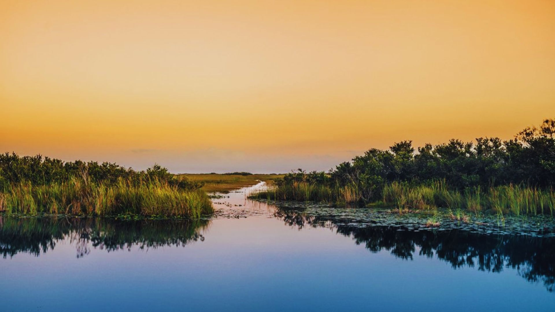 6. Everglades National Park