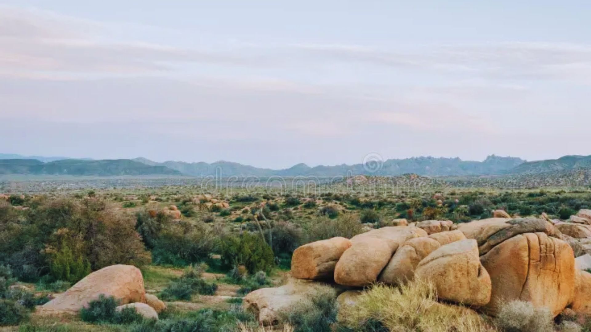 Joshua Tree National Park in California, showcasing unique Joshua trees against a desert landscape.