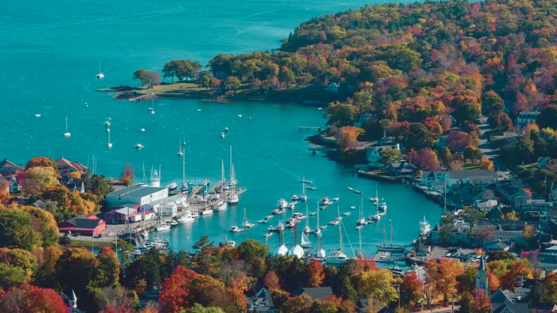 Overhead shot of a harbor showcasing various boats and dense trees lining the shore.