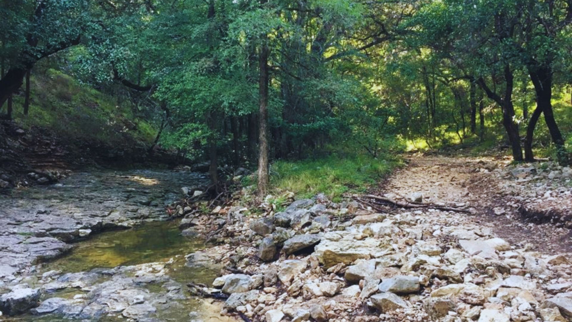 Go Hiking at Panther