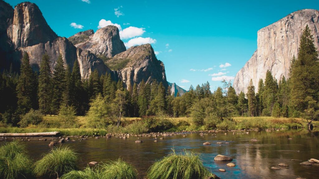 Yosemite Family Vacation