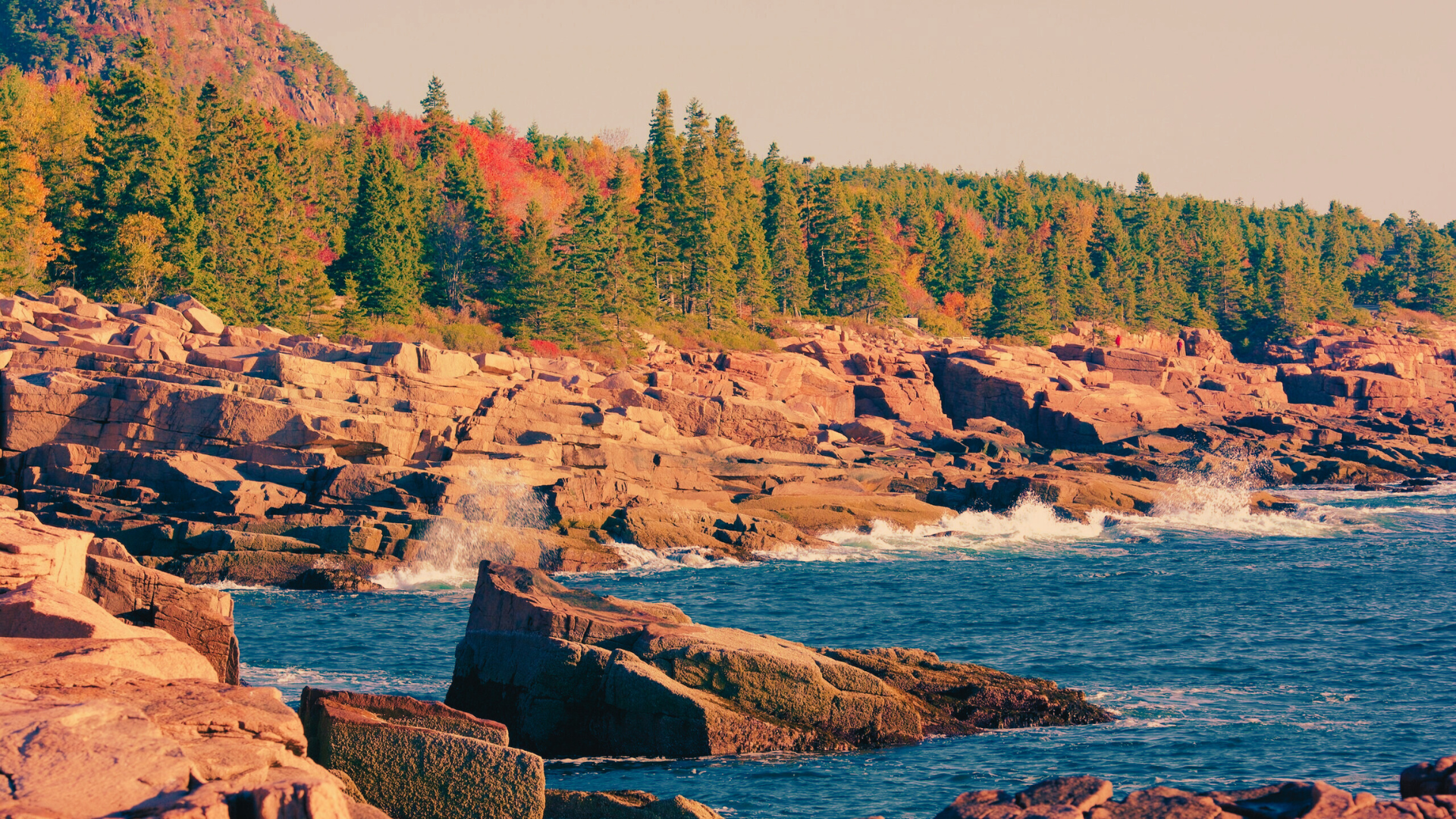 3. Otter Cliff & Otter Point