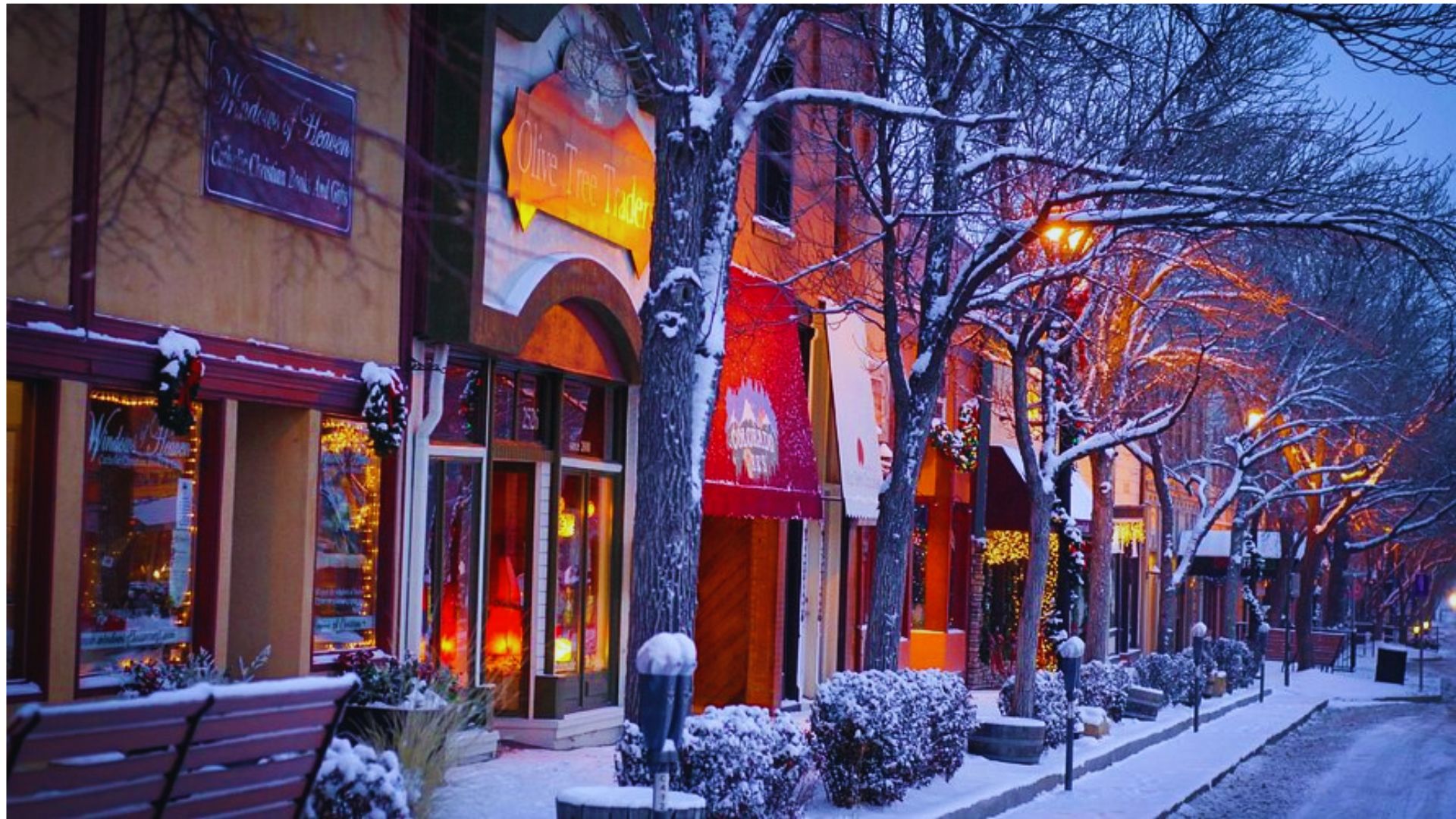 A snowy street lined with shops and trees, creating a picturesque winter scene.