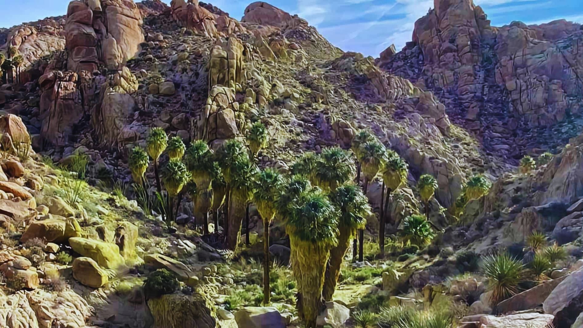 Photograph of Joshua Tree National Park showcasing its iconic desert landscape and unique Joshua trees under a clear sky.