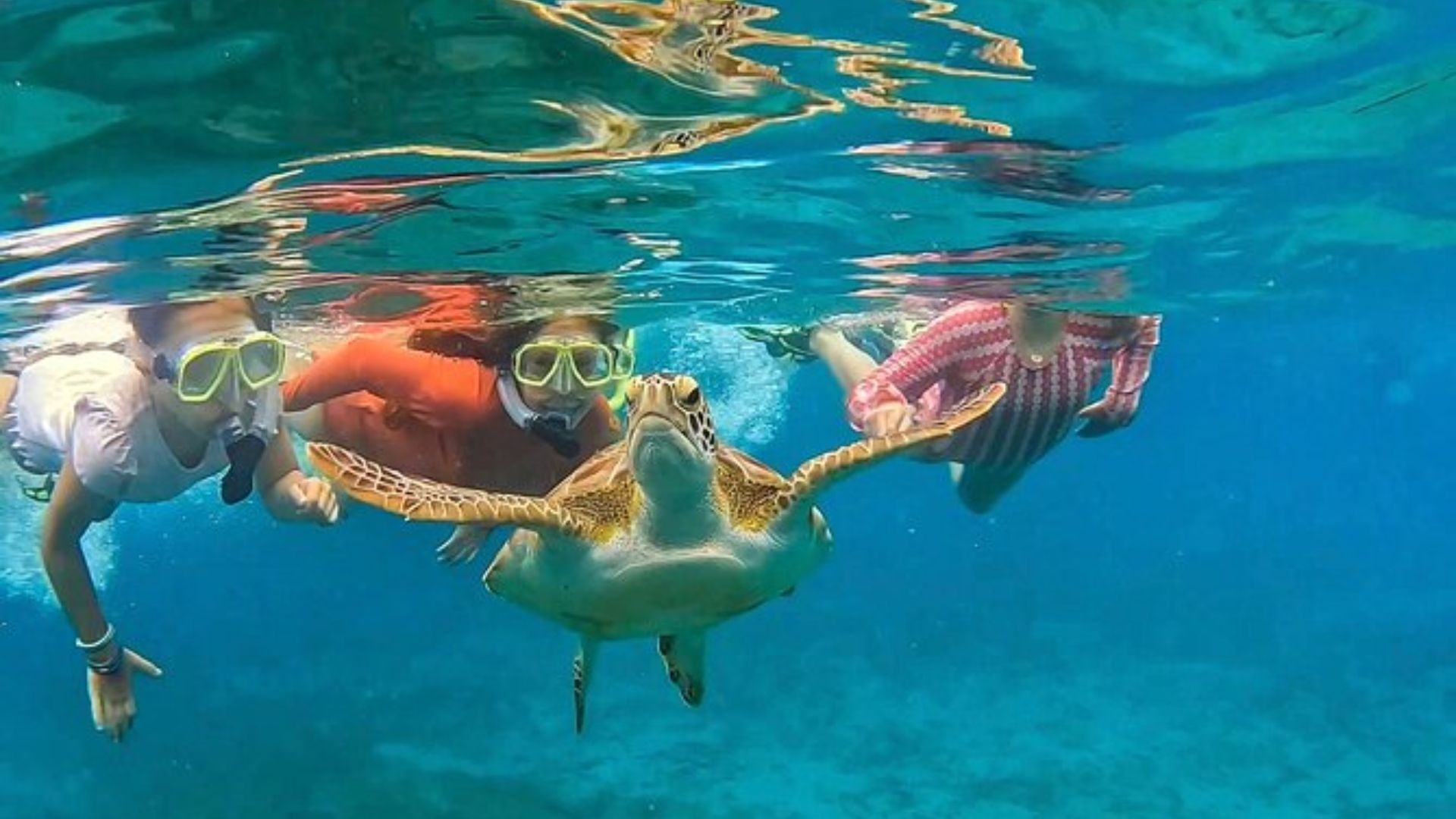 Three people swim alongside a turtle in the clear blue ocean, enjoying a vibrant underwater experience.
