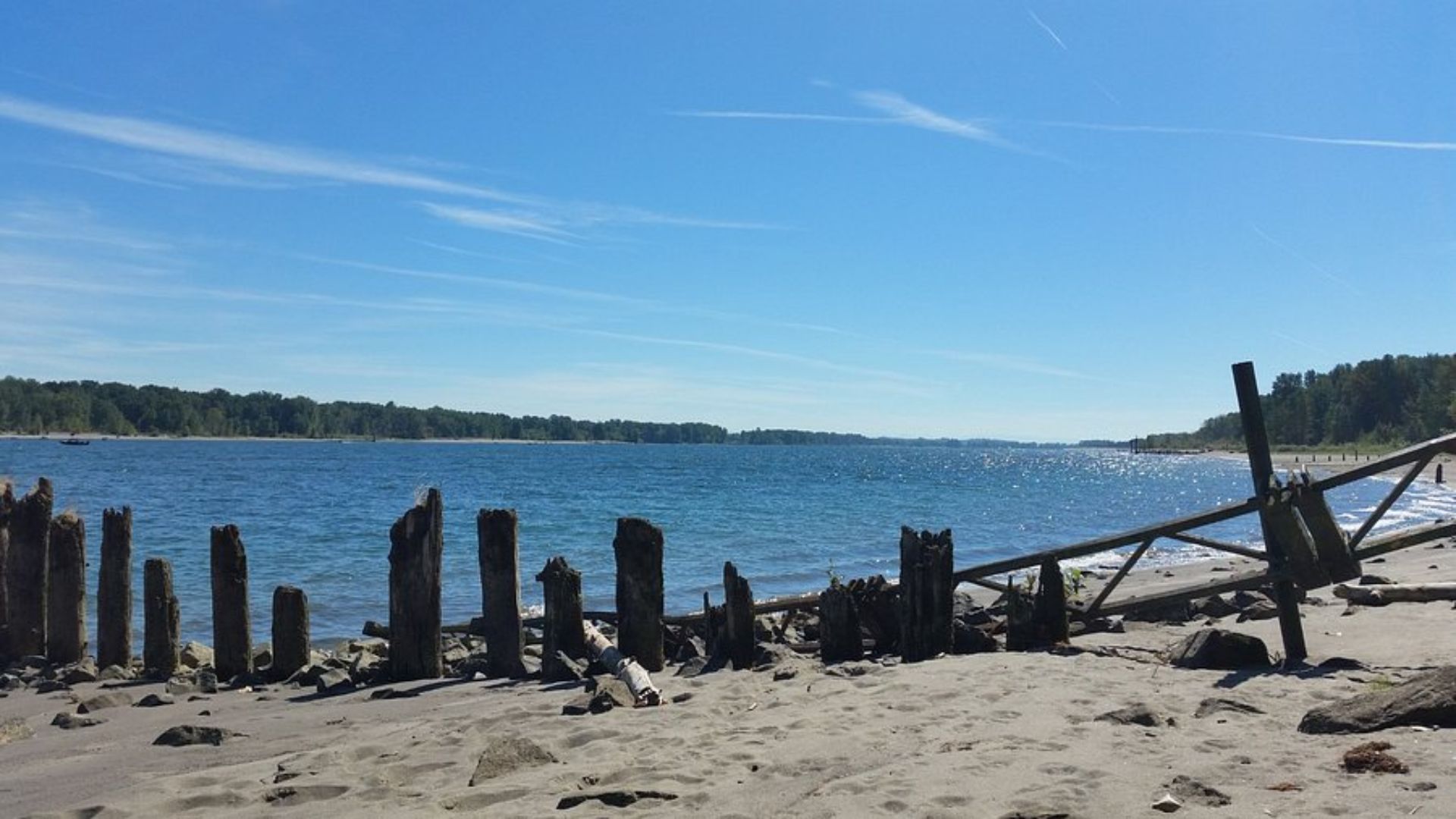 A serene beach scene featuring wooden posts along the shore and a calm body of water in the background.